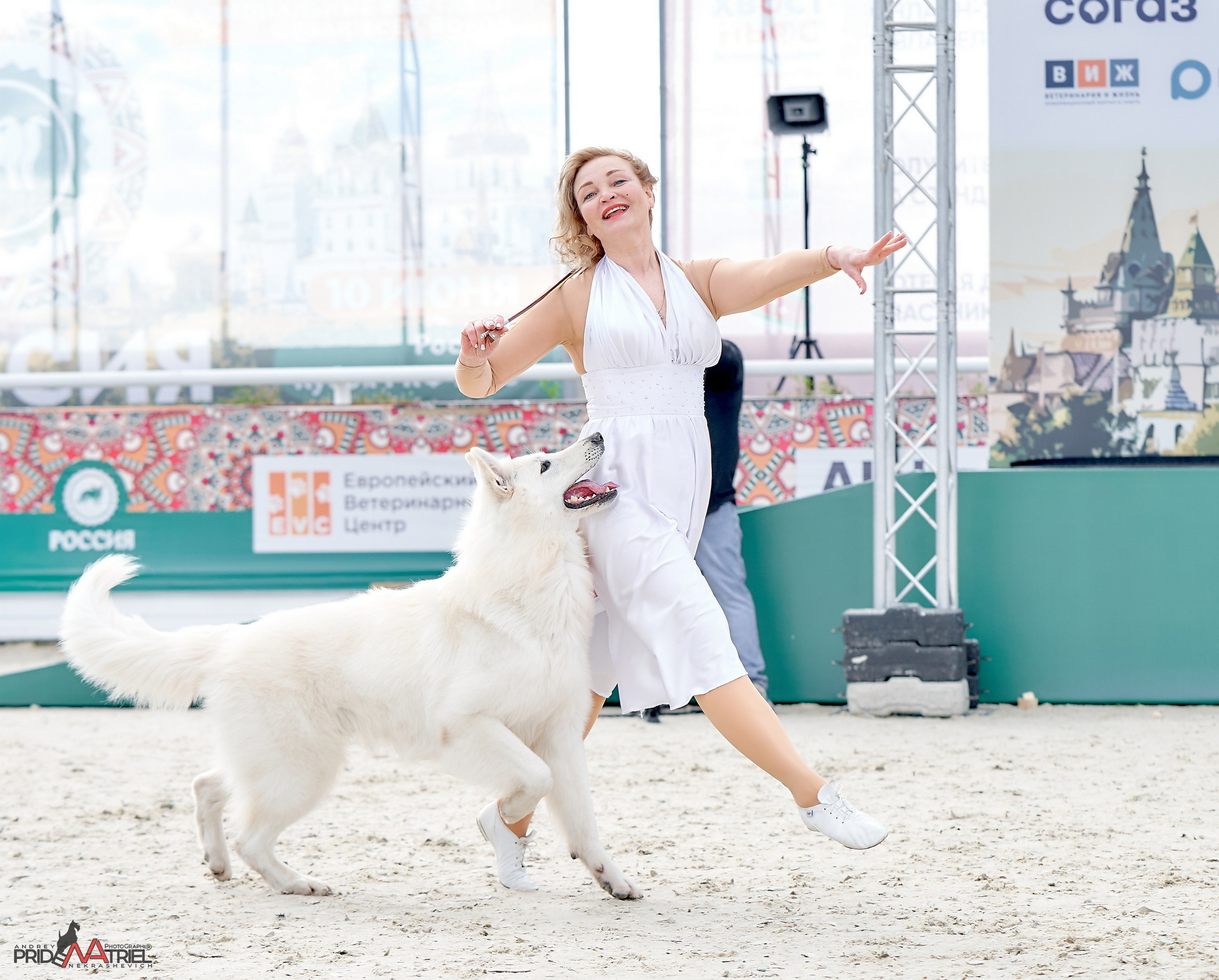 Обидиенс и танцы с собаками — галерея NATRIEL