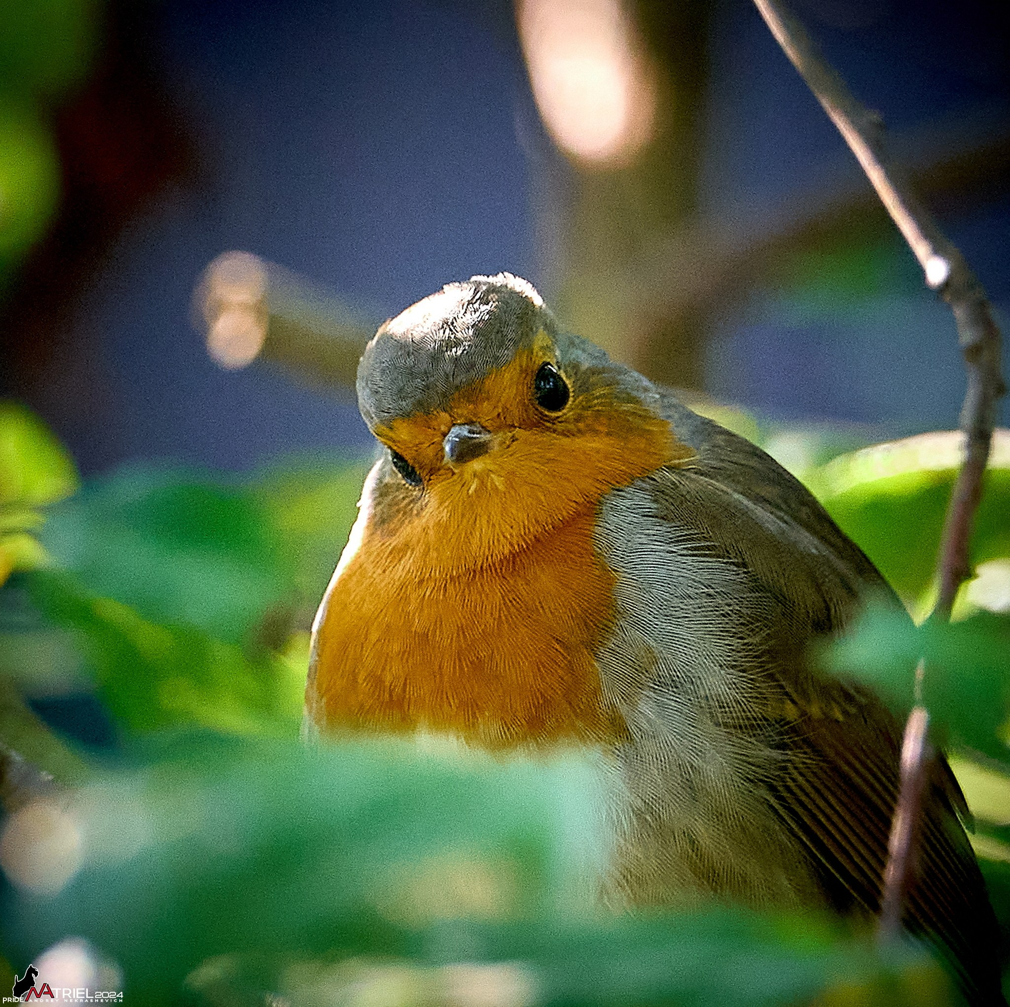 Фотопрогулка на природе