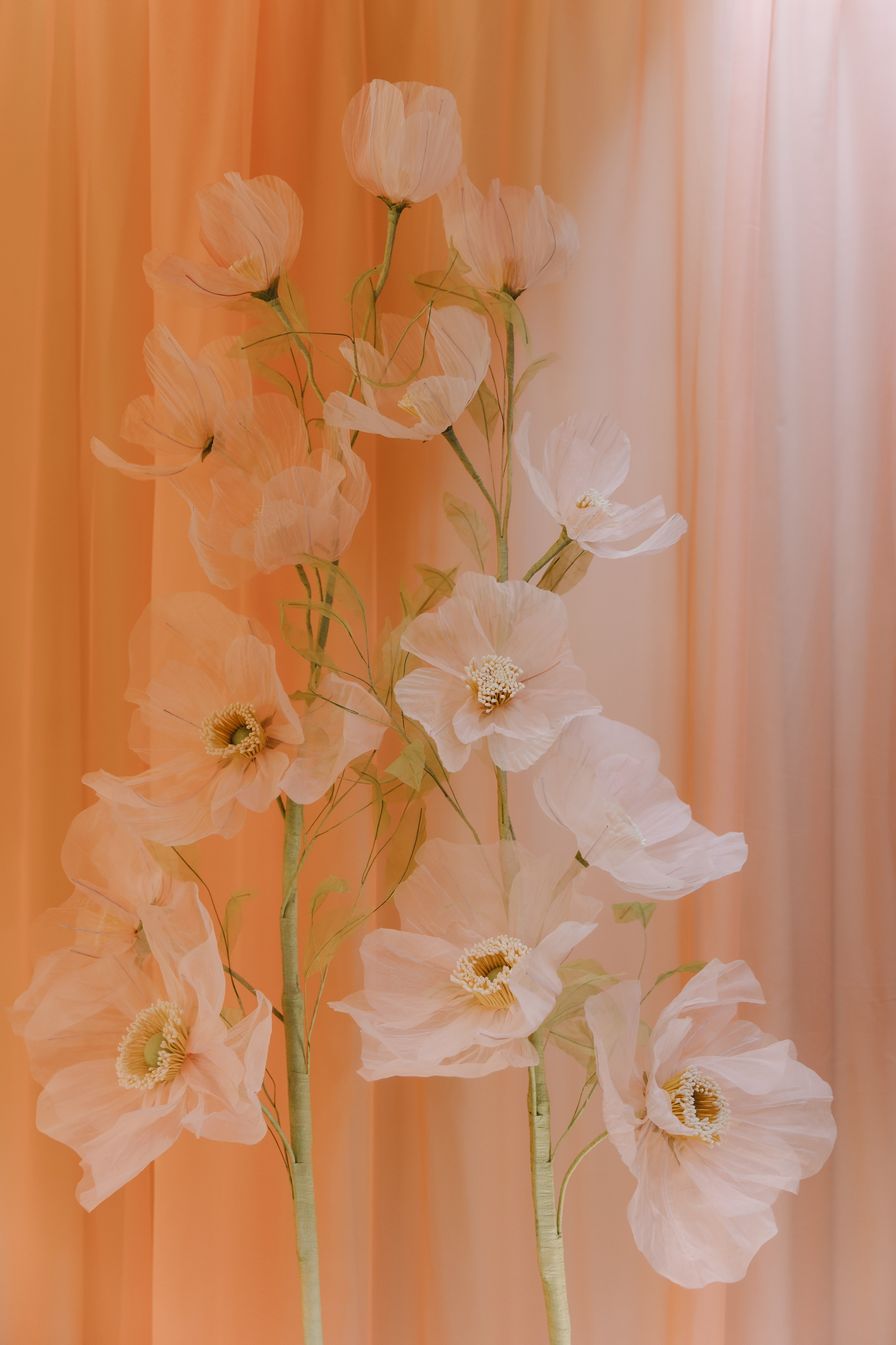 VSummer | 31.08.2024 | МО, ресторан «Рико Дом». МашаШарики | Декоратор | Москва