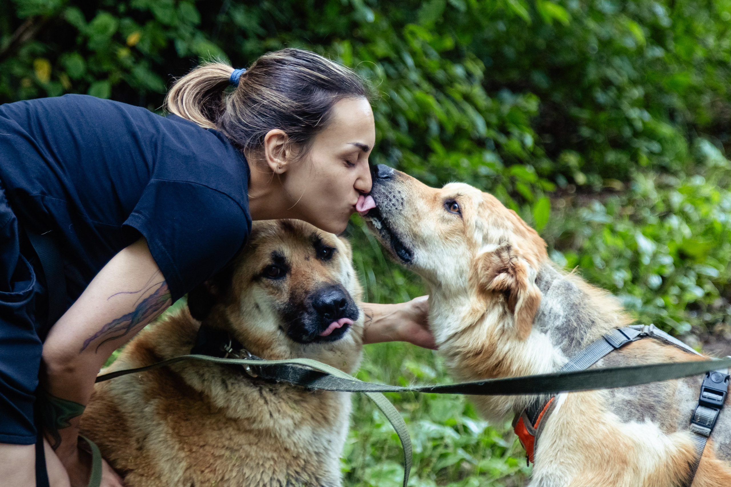 Petshop Забота. Фотограф в Санкт-Петербурге Чумаков Семен