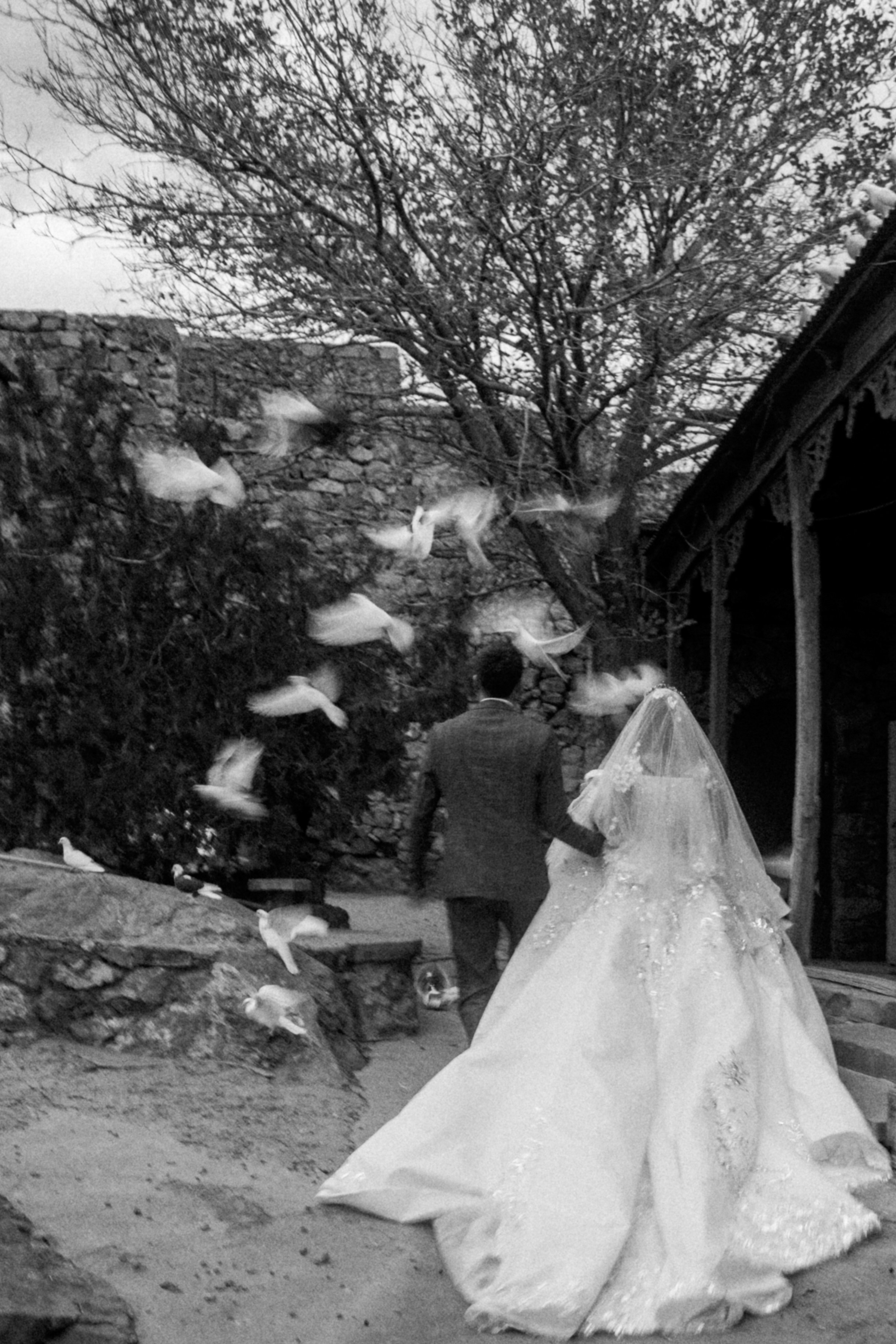 Свадебная съемка. Գլխավոր