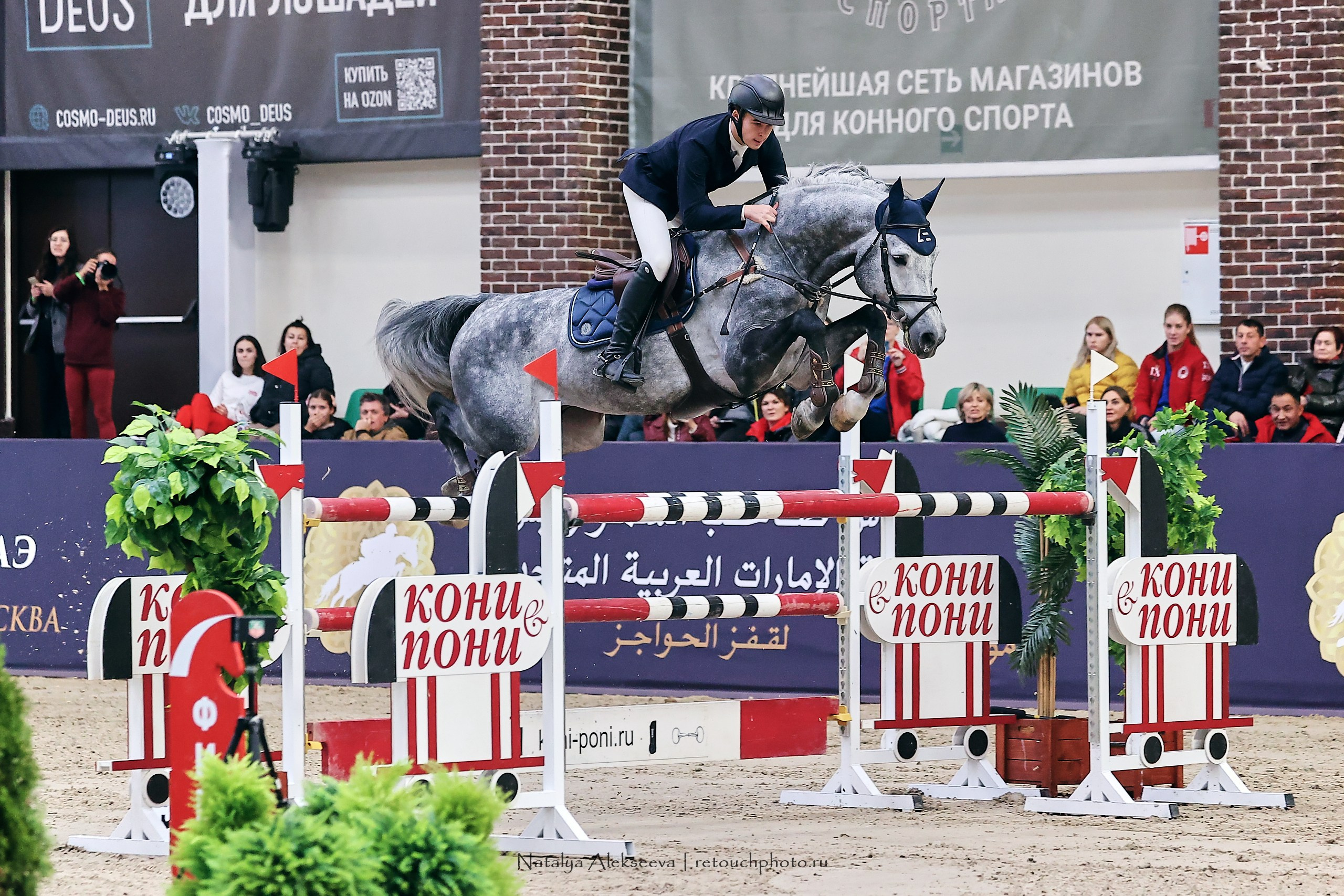 Кубок Президента ОАЭ по конкуру, Maxima Stables | 11'2023. Репортажный фотограф и ретушер в Москве Наталья Алексеева