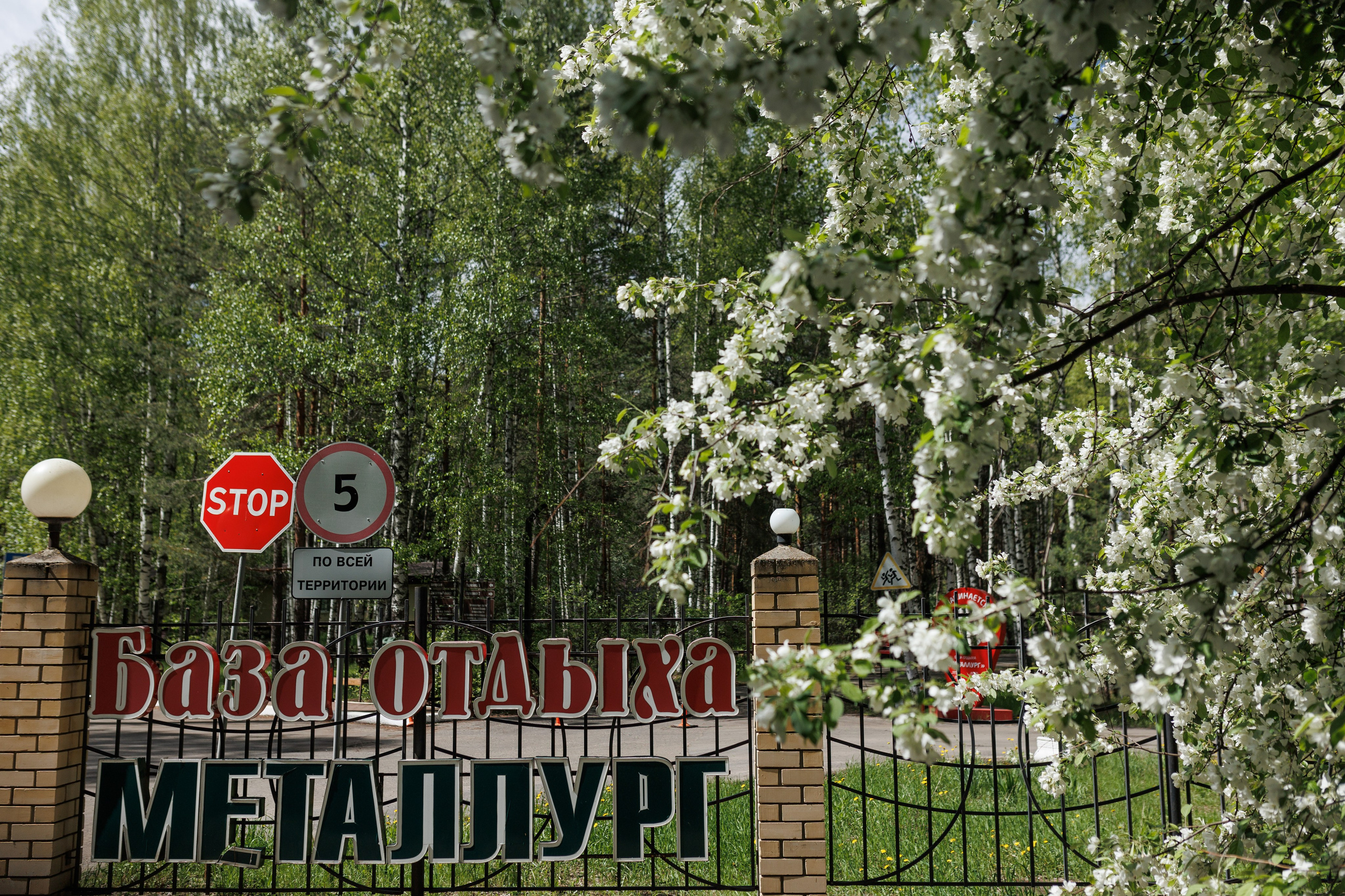 База отдыха «Металлург». Фотограф городских и семейных событий в Нижнем Новгороде Артем Карпухин