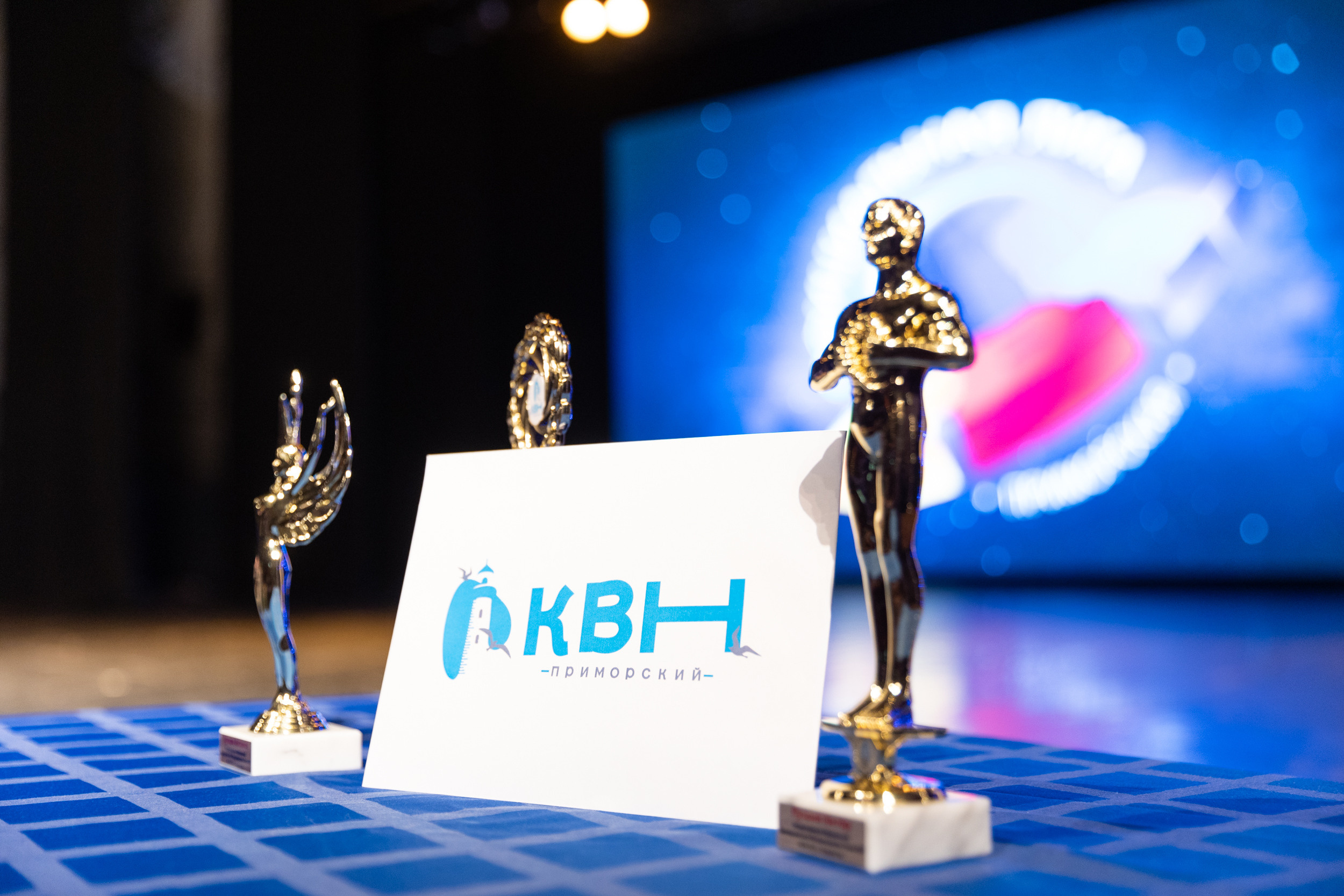 КВН ¼. Репортажный фотограф во Владивостоке