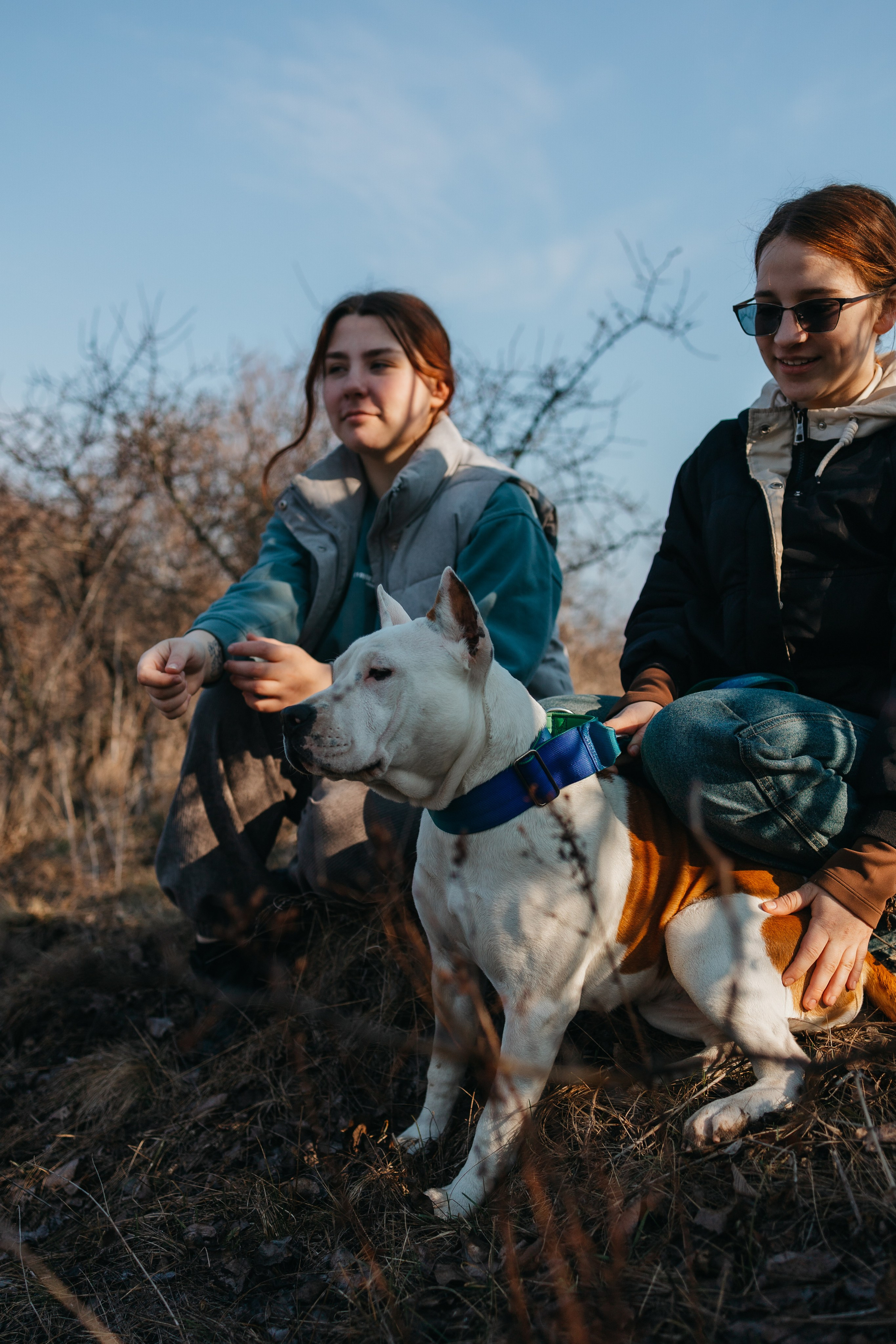 Лера, Ума и Винни. Фотограф — анималист Светлана Кысса|фотограф собак в Краснодаре и Нижнем Новгороде
