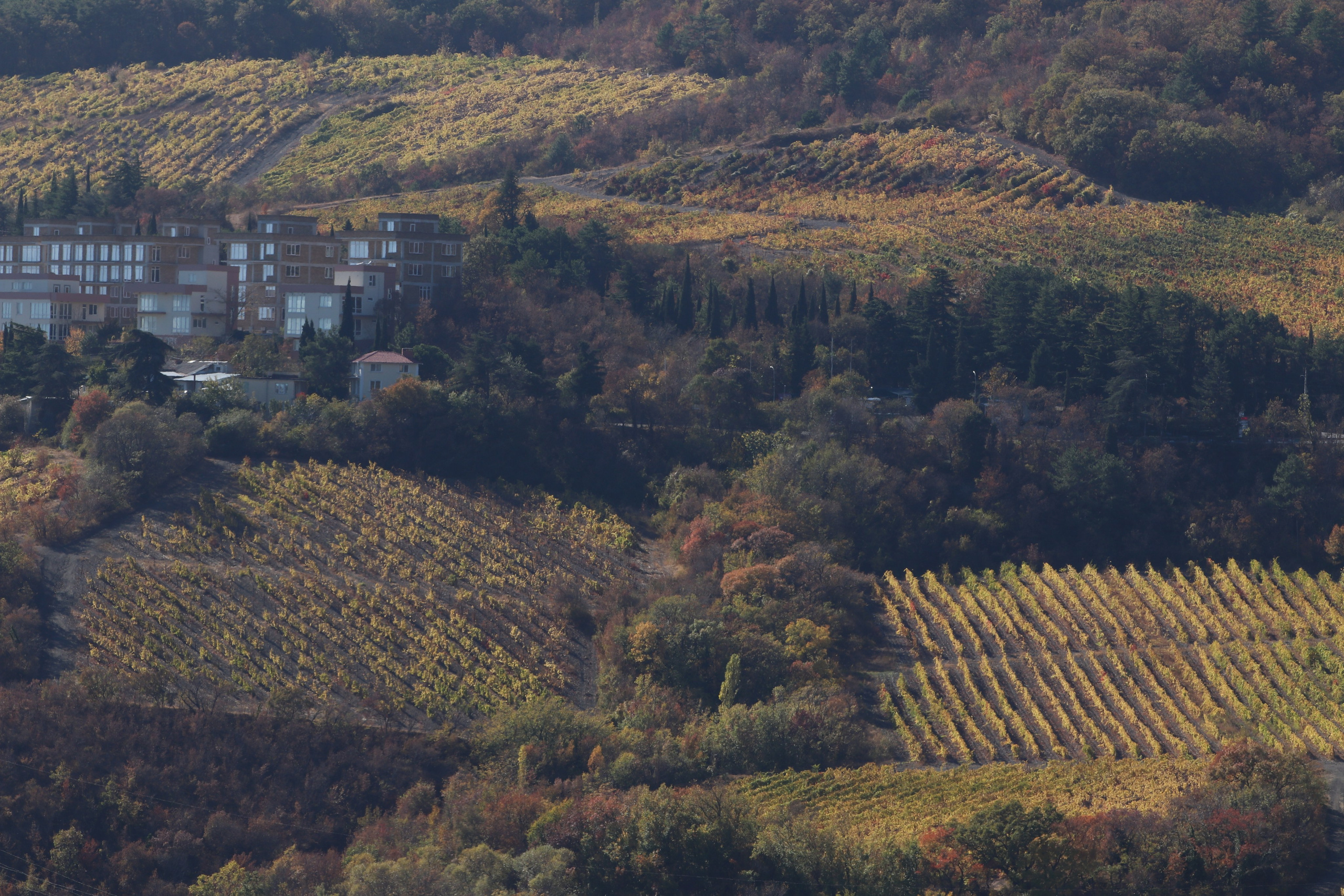 Крым. ЮБК (Гурзуф, Судак и их окрестности). Ноябрь 2023. Путешественник-фотограф из Санкт-Петербурга Татьяна Свистулина