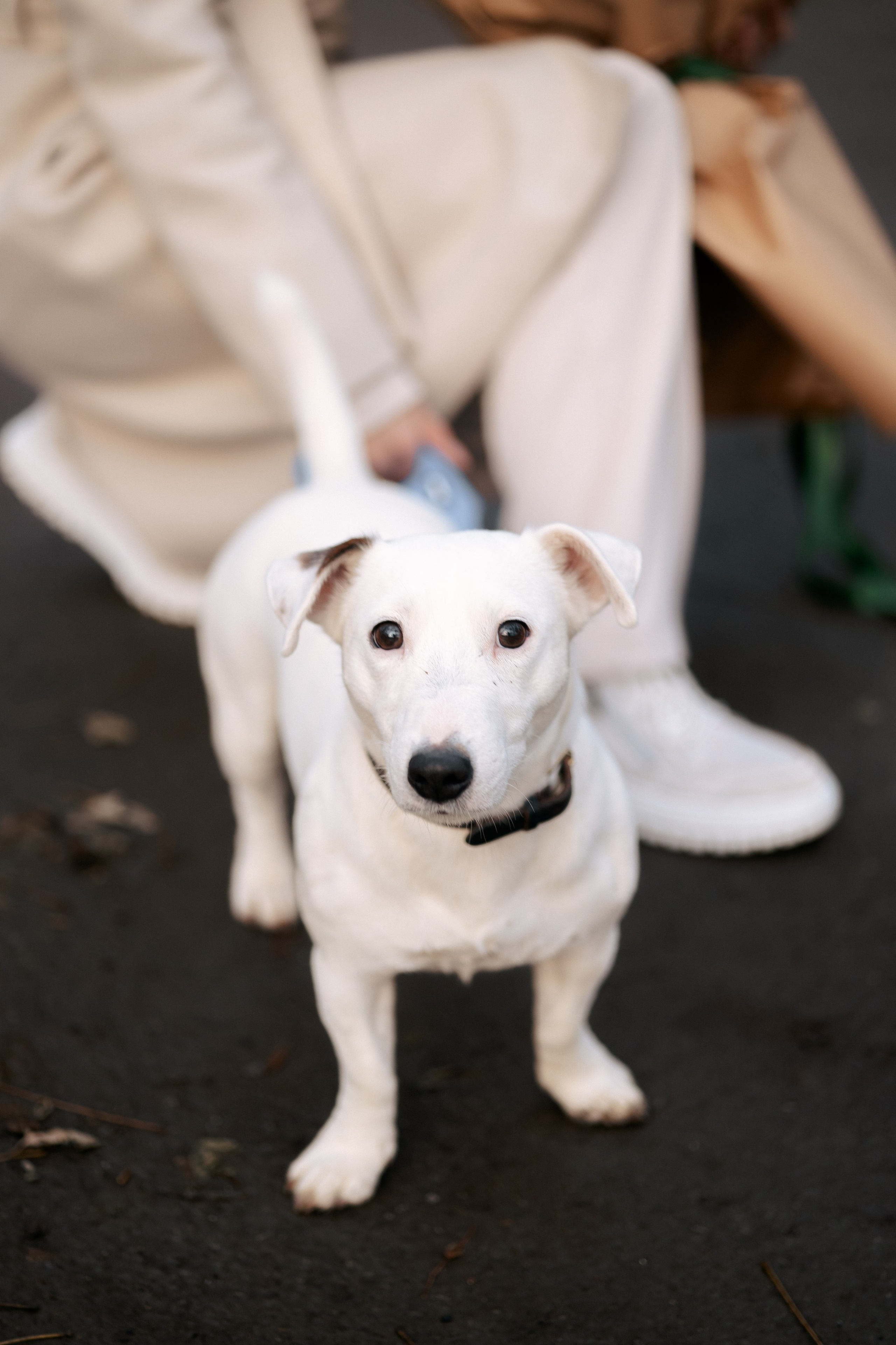 Вера. Фотограф Таганрог Любимая Надя