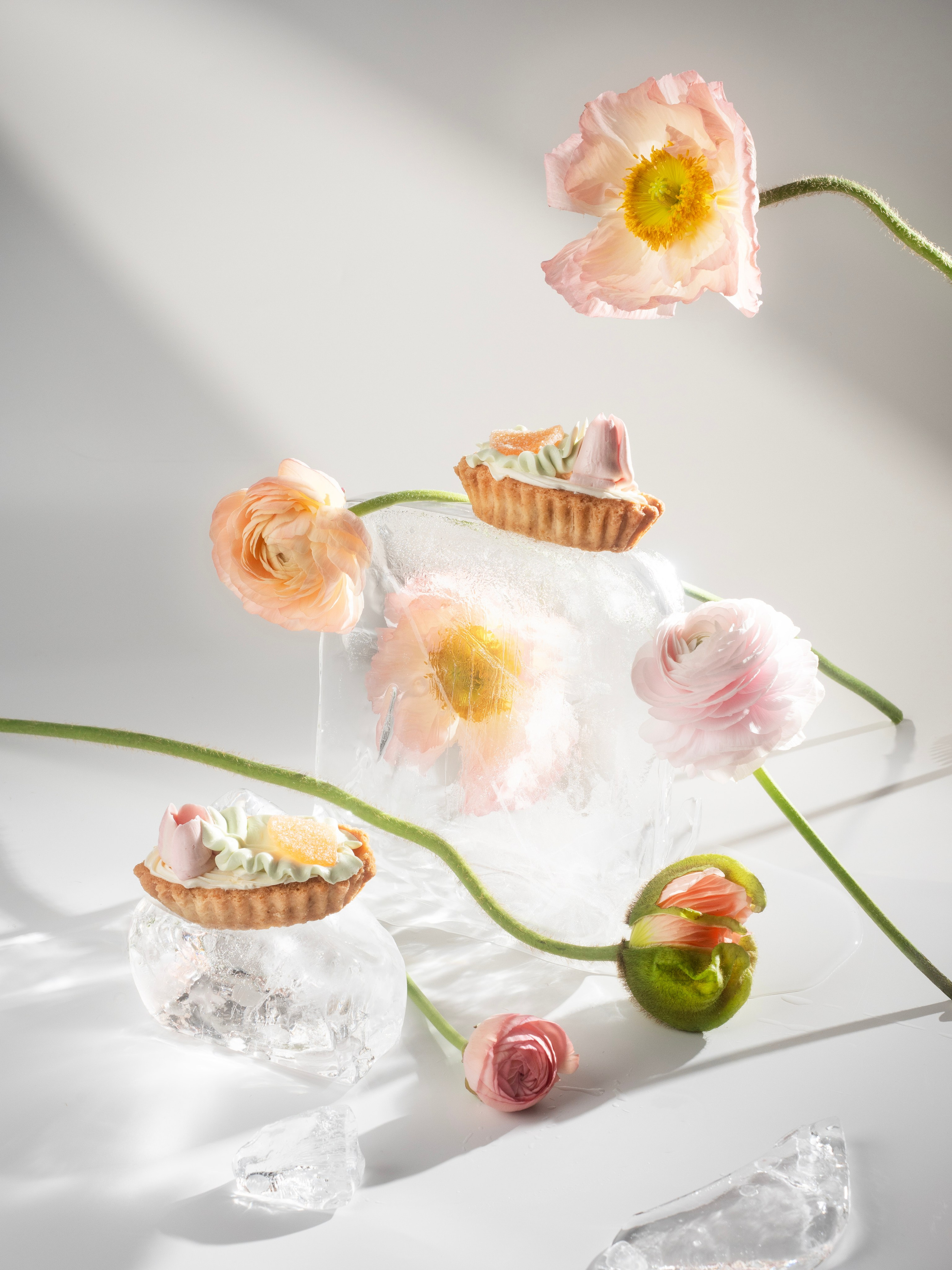 Съёмка для кондитерской Север Метрополь. Фотограф Калинич Юлия