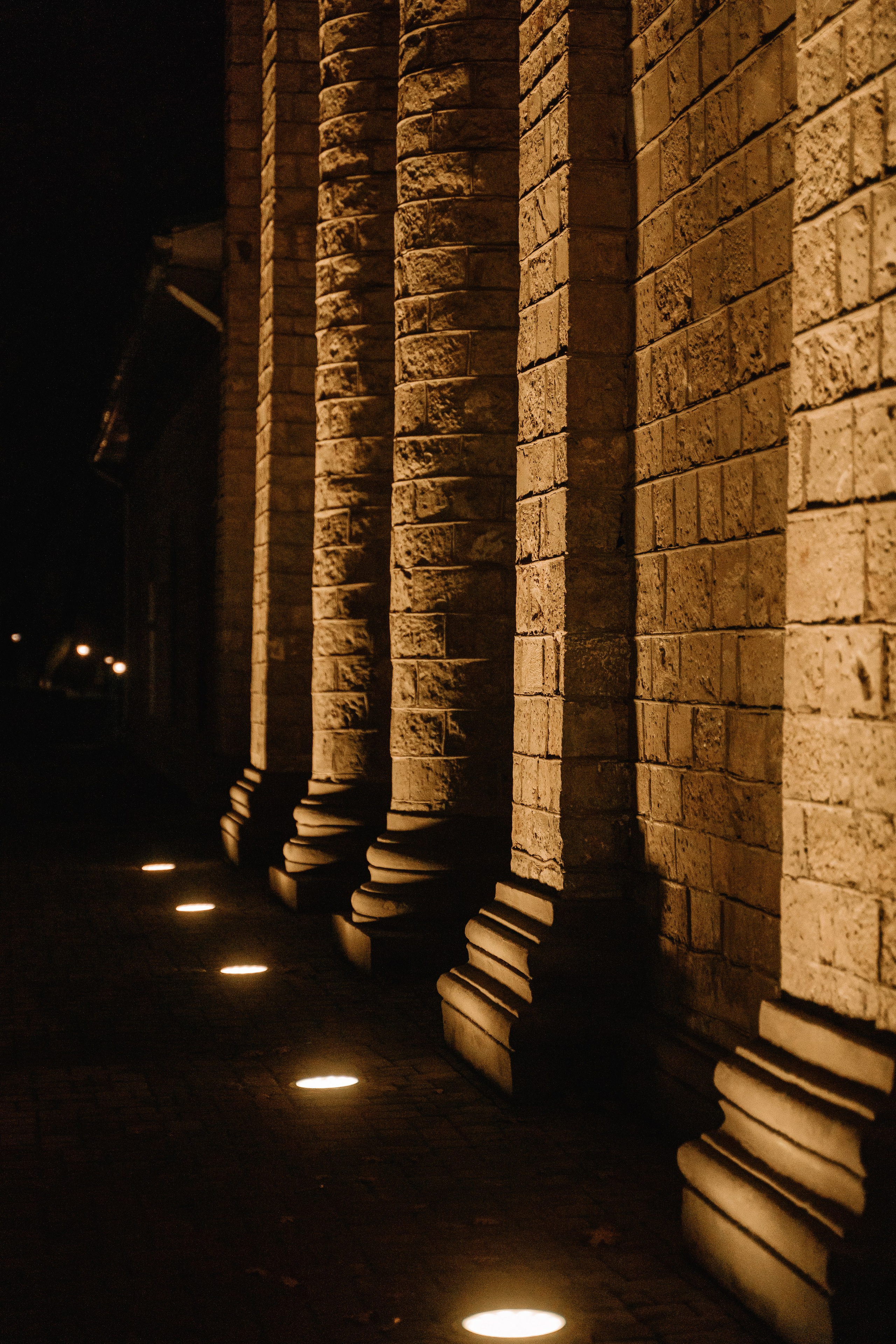 Корпоратив. Свадебный и семейный фотограф в Анапе Елена Полетаева