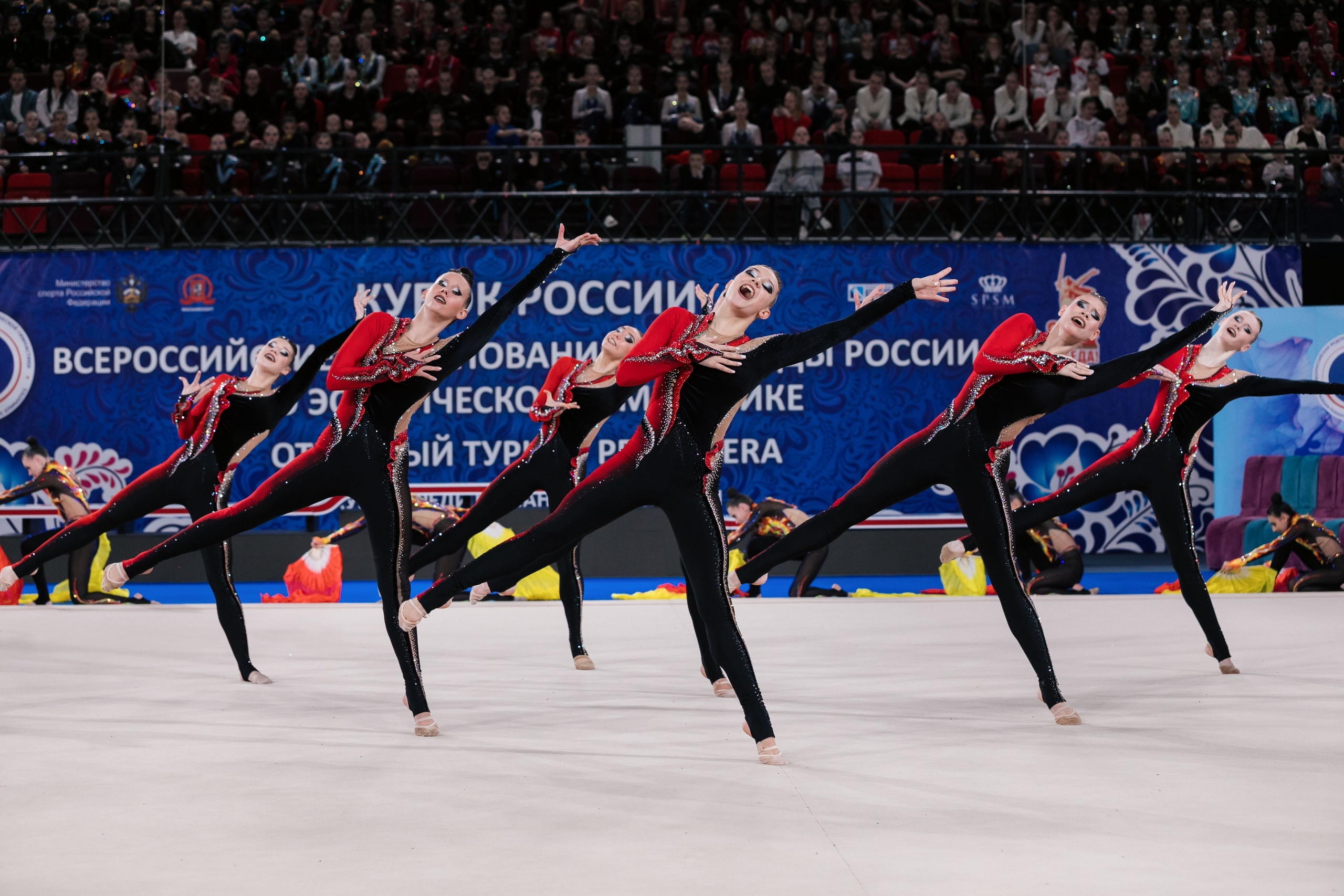Кубок России по эстетической гимнастике 2025. Москва. Спортивный фотограф Александр Васильев. RG и AGG