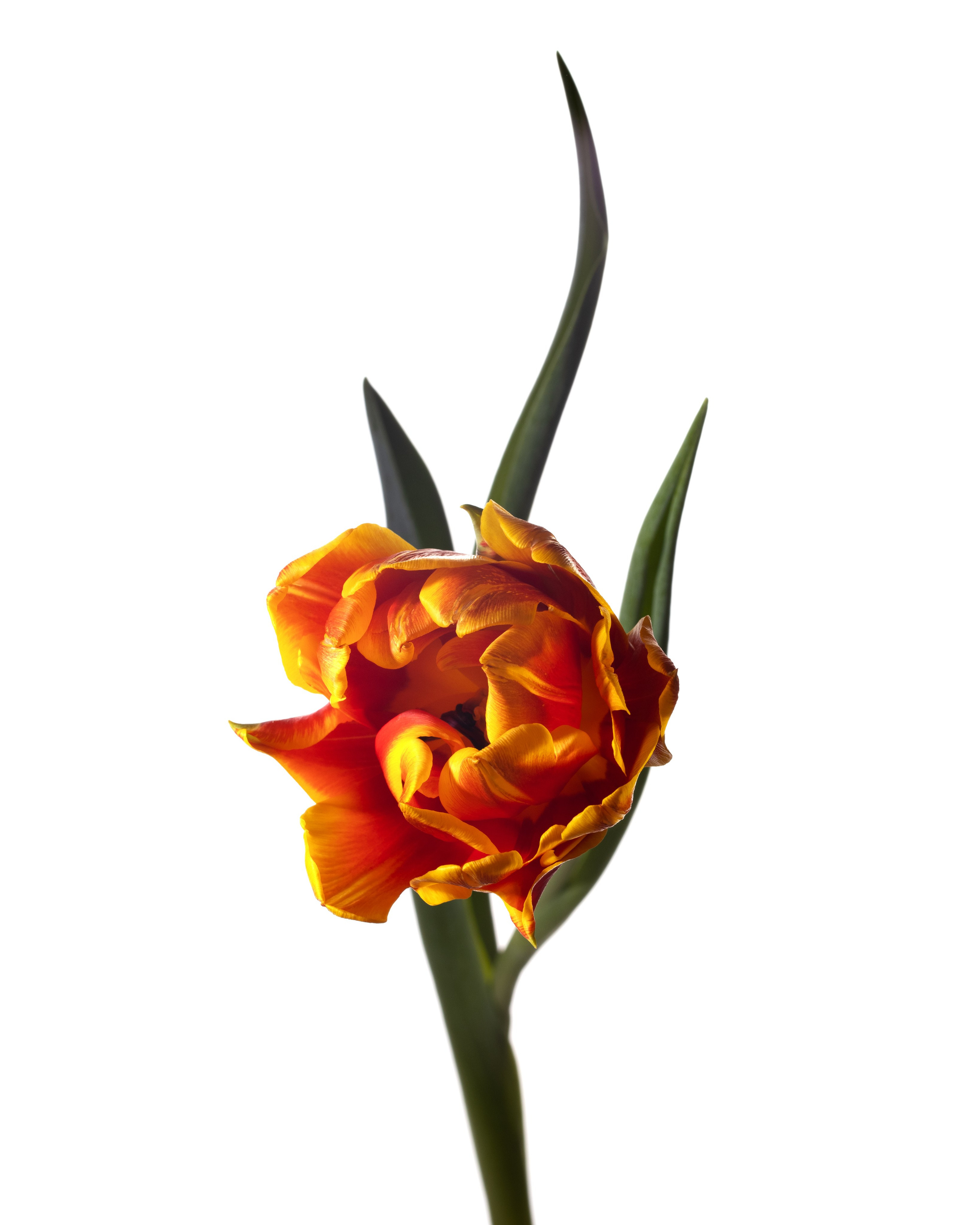 Предметная съёмка в Омске. Предметный, фуд фотограф в Омске. Панкова Евгения