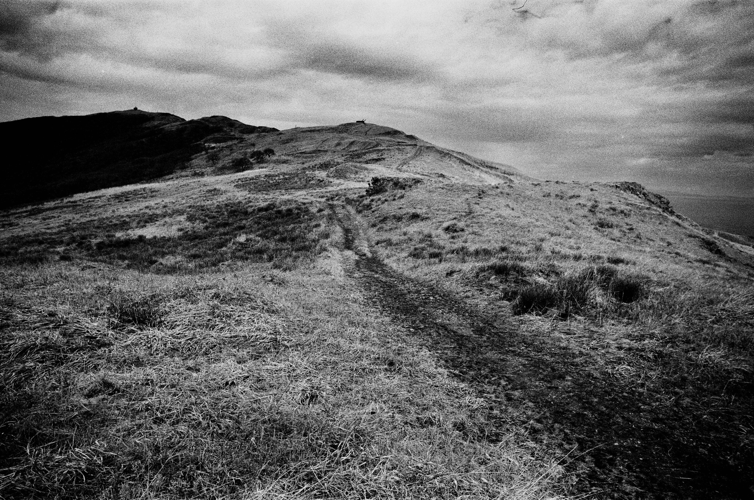 Pilgrimage to Earth. Revucher