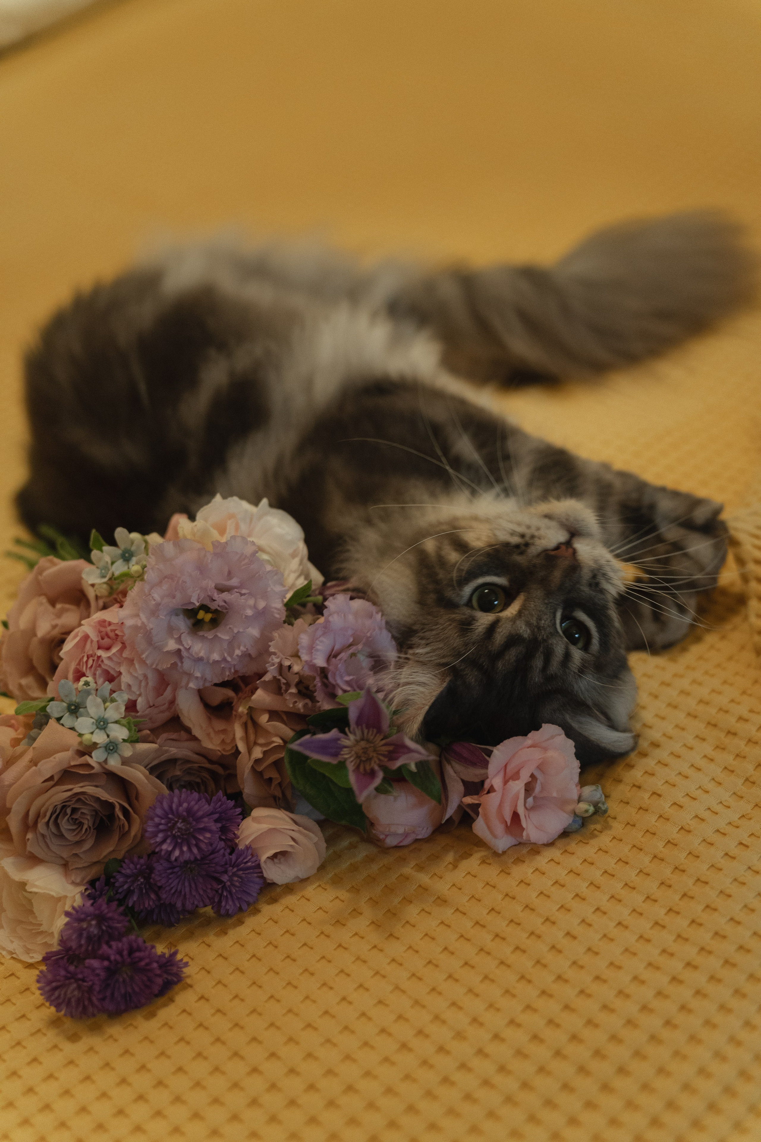 Give me a kiss. Свадебный фотограф в Москве Мария Кривоногова