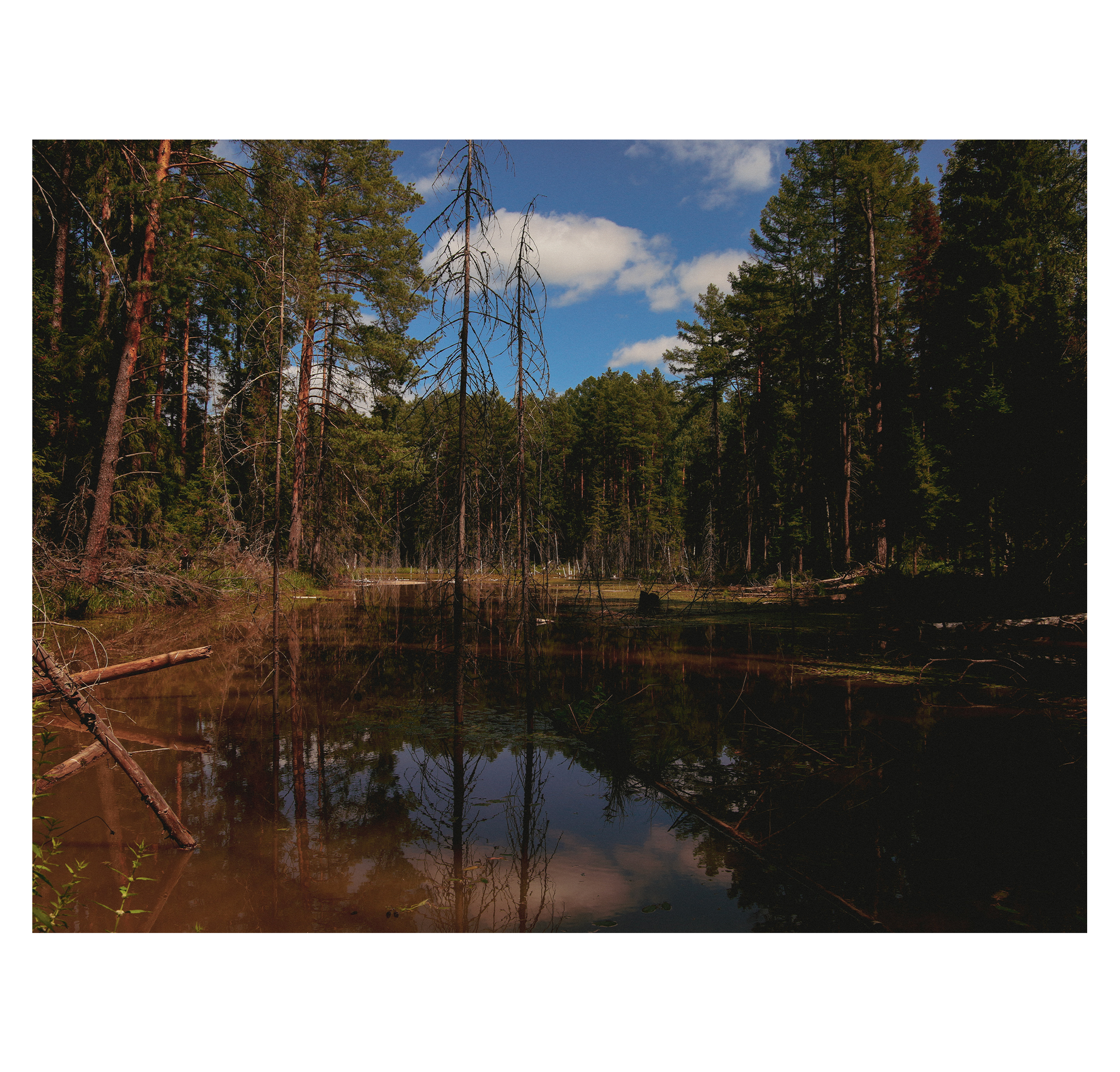 Summer hike. Фотограф/дизайнер в Екатеринбурге Хитрый Дмитрий