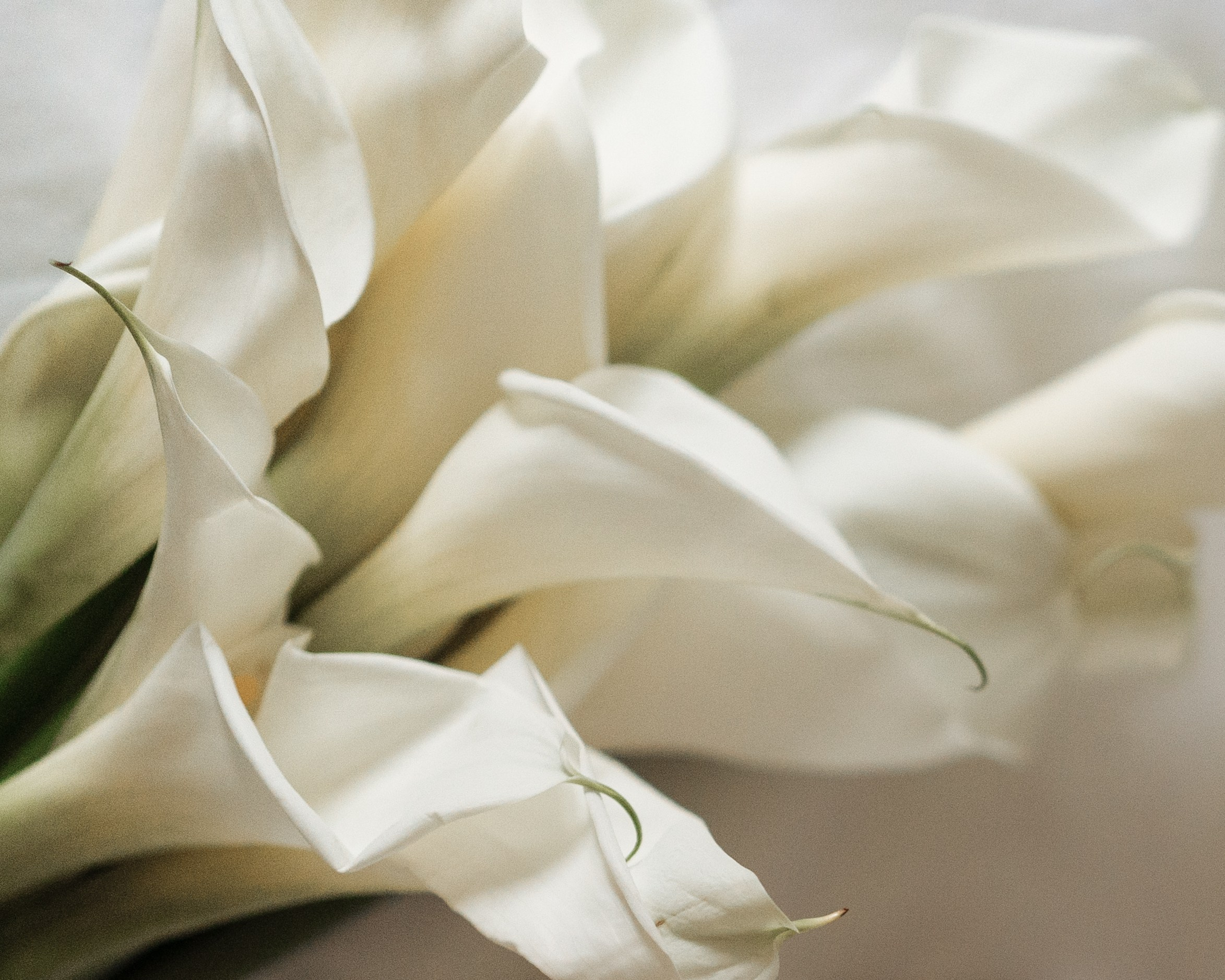 Юлия и Александр. Свадебный и портретный фотограф Москва Ирина Гавриленко