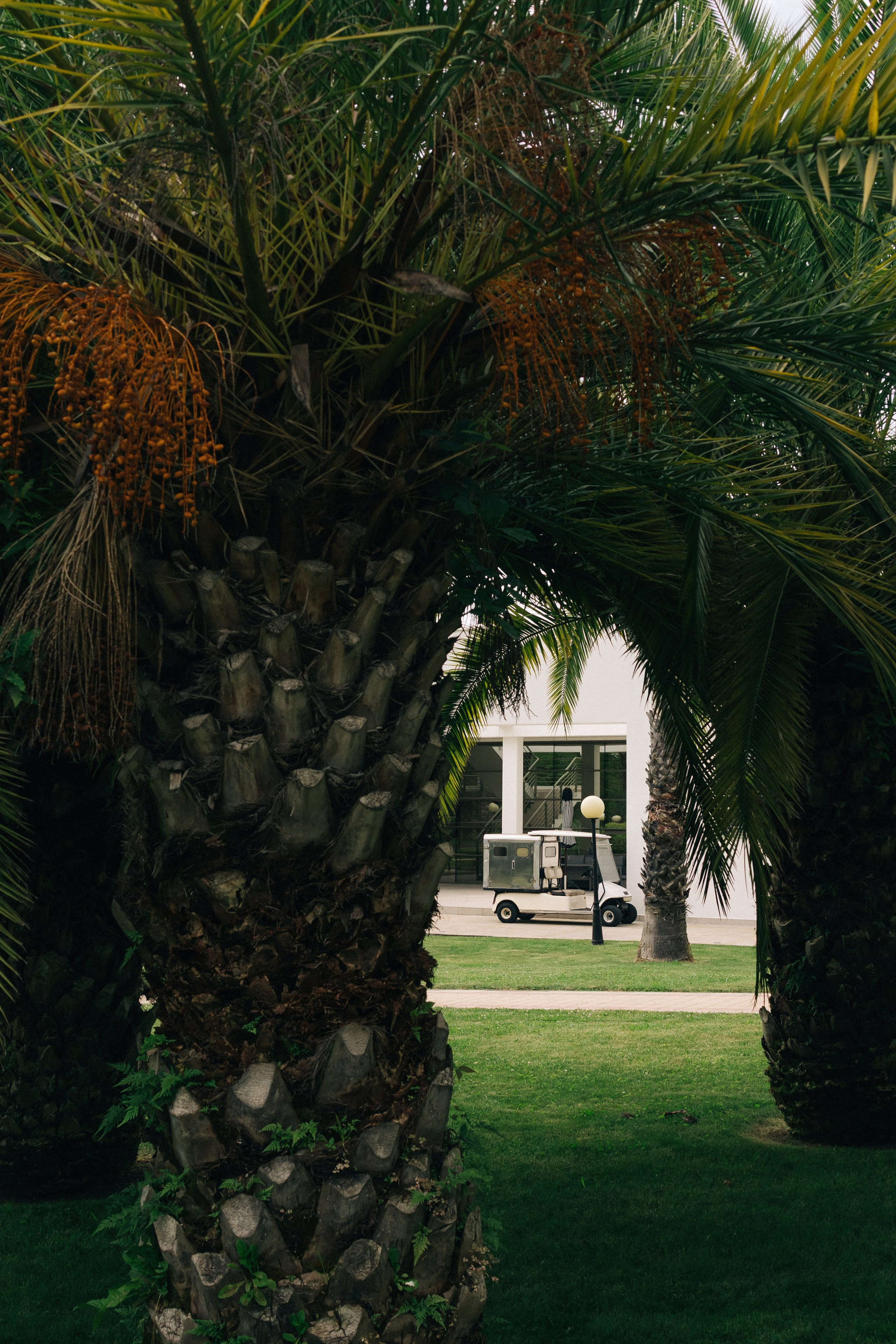 @fruits_family_wedding. Свадебный и репортажный фотограф в Москве Владимир Сергеев | Naysaikolo