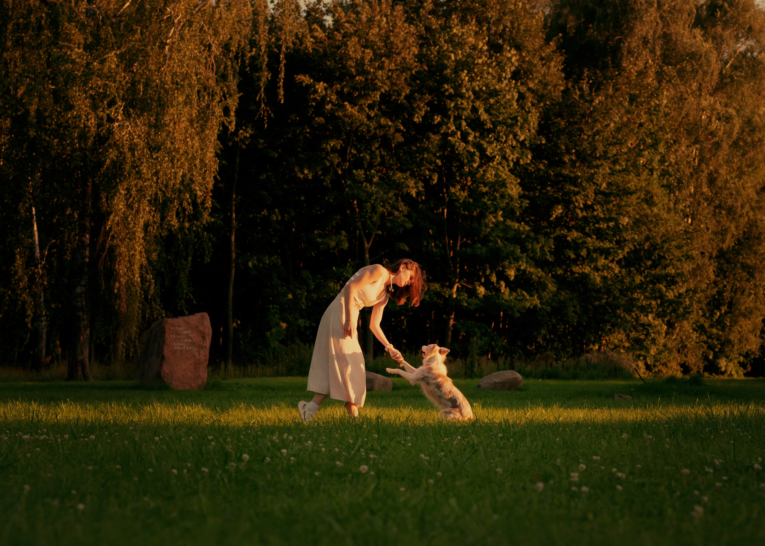 Вэй. Фотограф- анималист Александра Матвеева