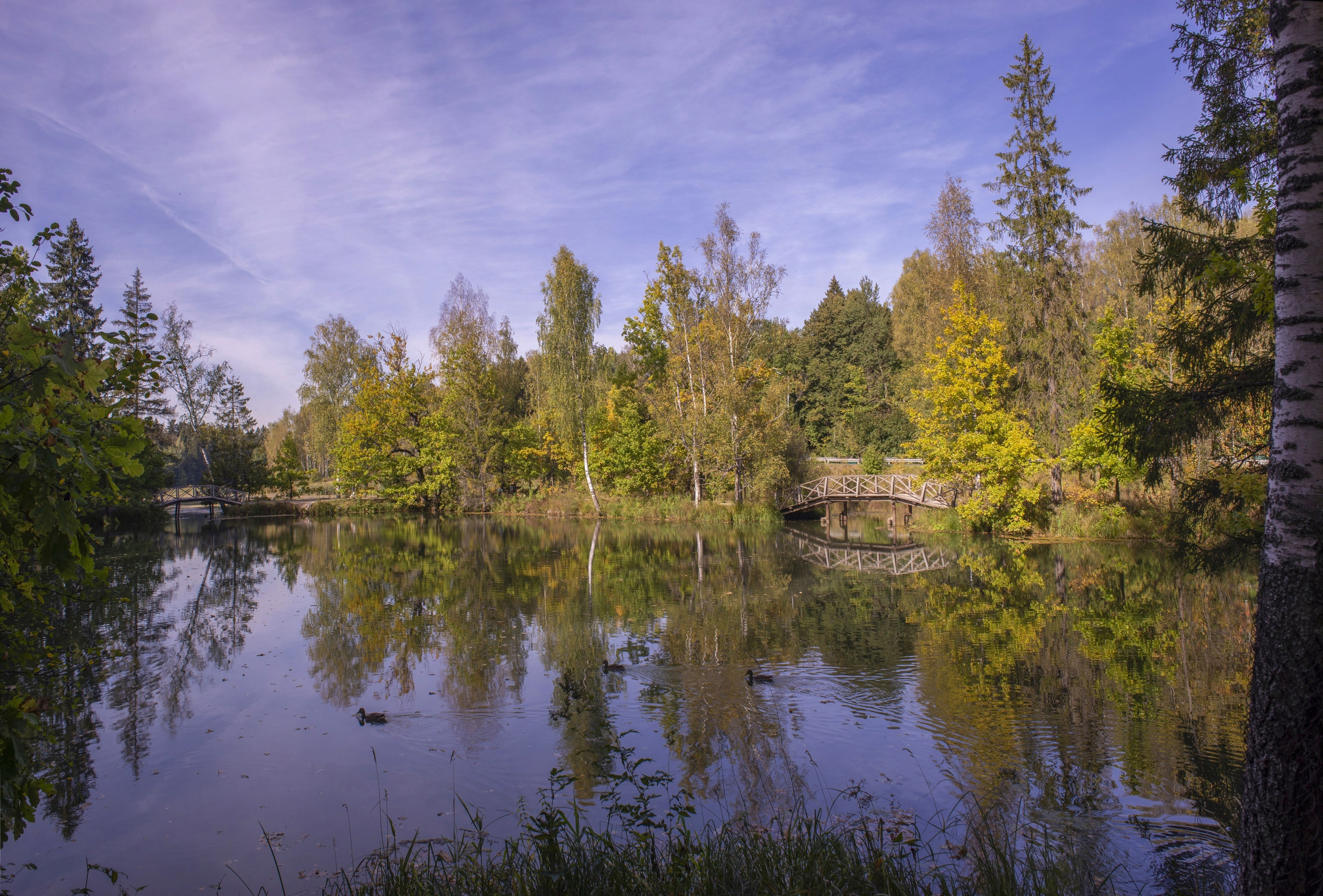 Абрамцево. Сентябрь 2023. Игорь Жучков. Россия увиденная глазами путешествующего фотографа