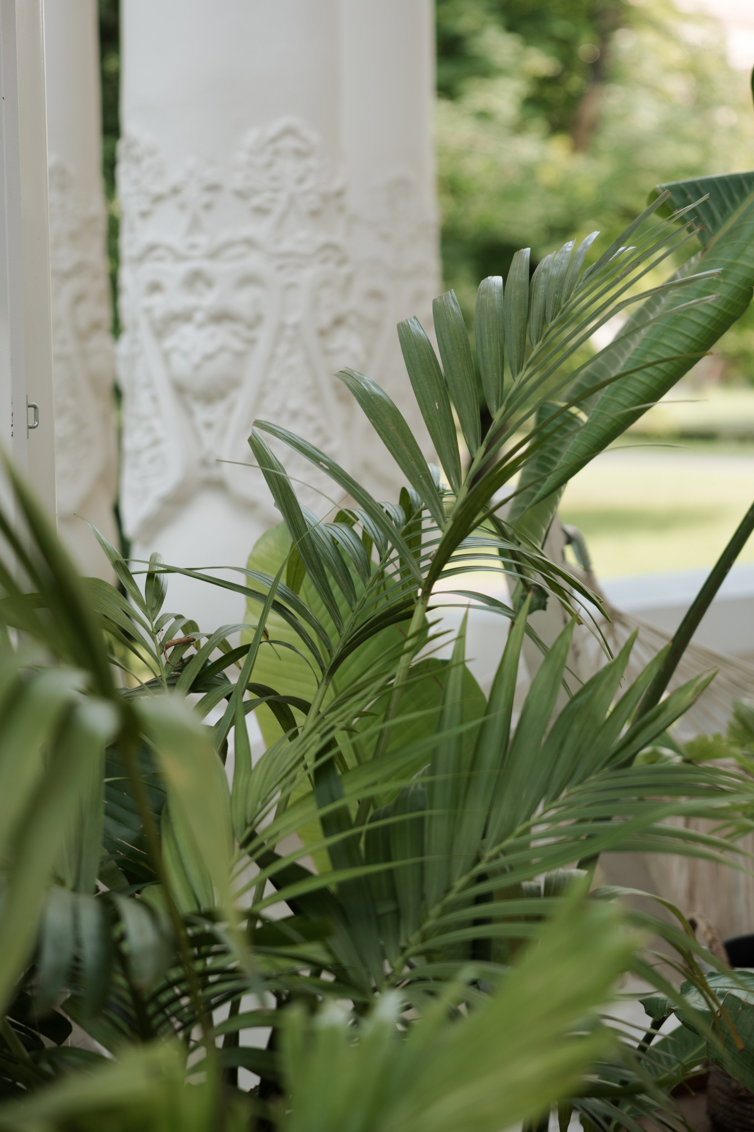 КРИЧАТ ОБ ОДНОМ — ЭТО ЛЮБОВЬ. Фотограф Наталия Бирюкова