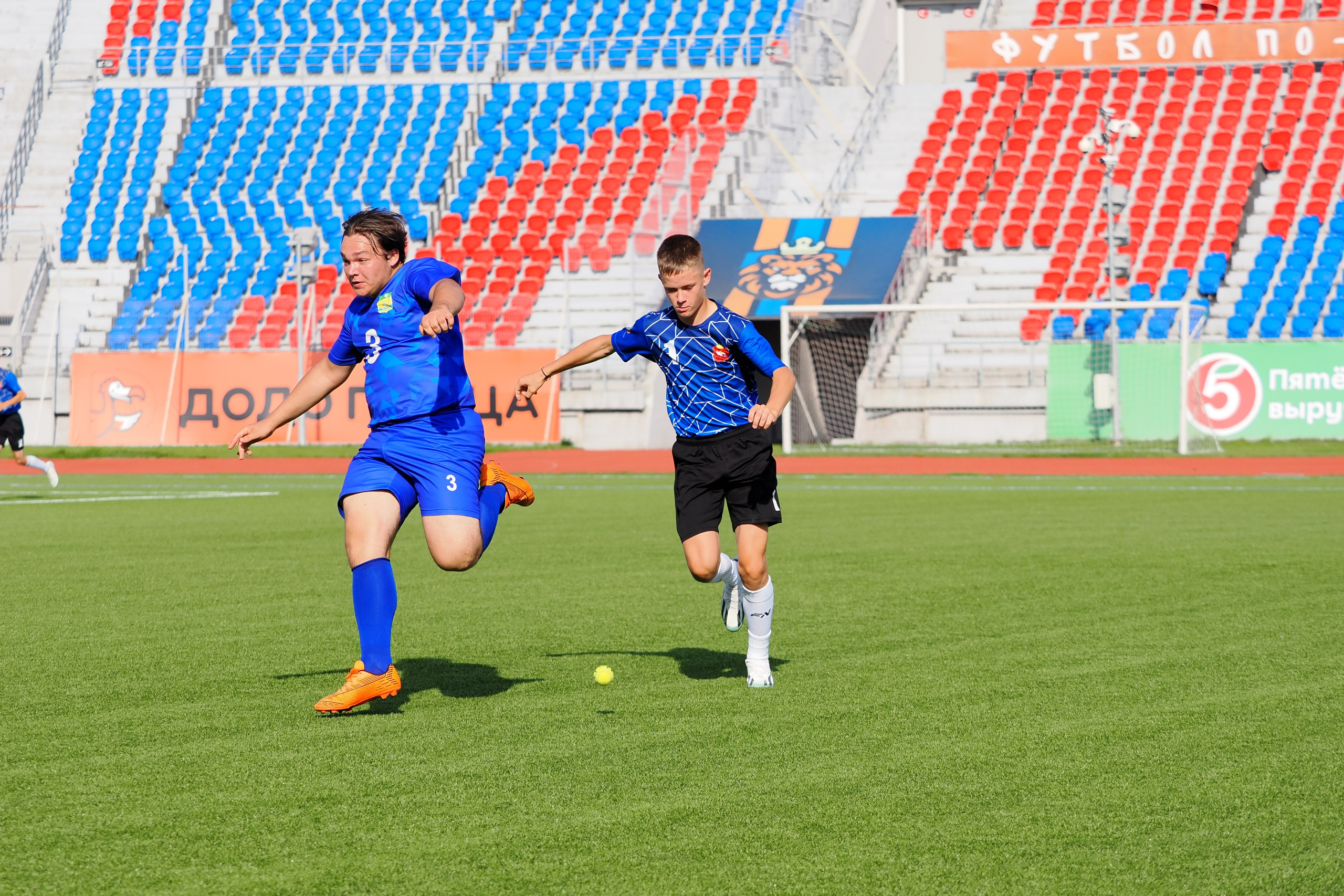 Всероссийские соревнования по русской лапте. Репортажный фотограф Алексей Козьмин