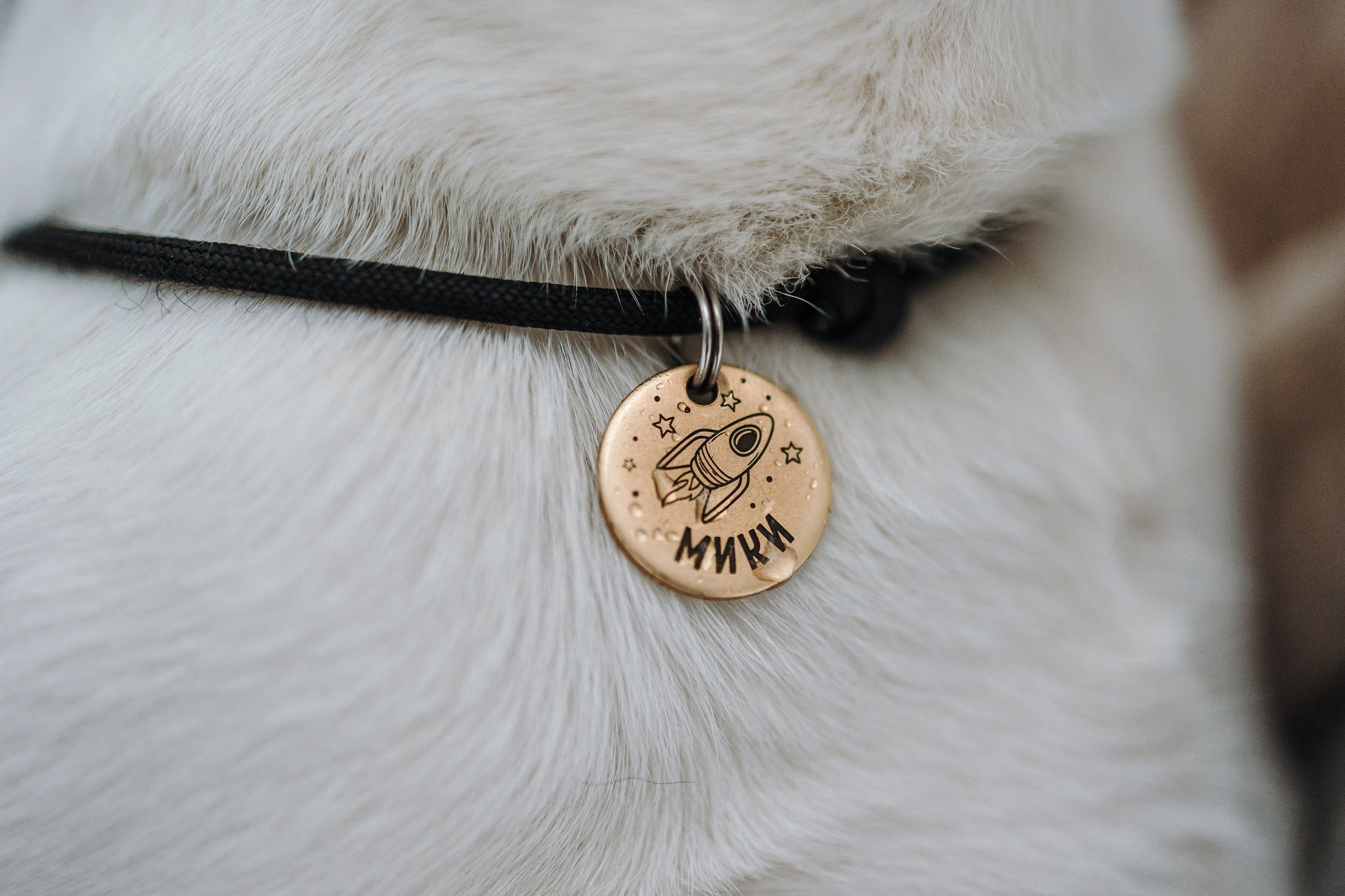 Наталья и Микки. Фотограф — Анималист | Санкт-Петербург