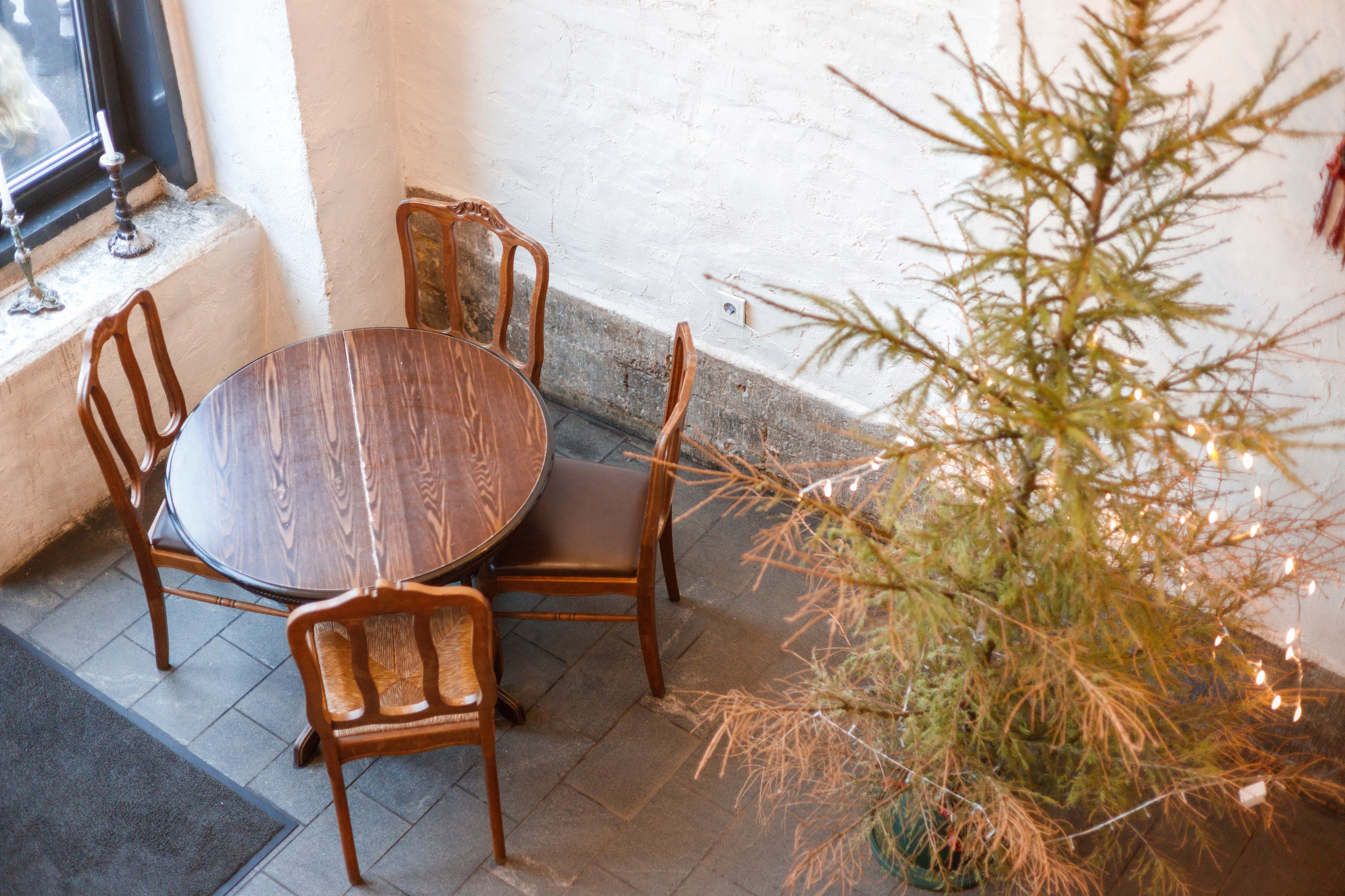 Кафе-бар Гусары на Фонтанке. Фотограф Балаев Михаил