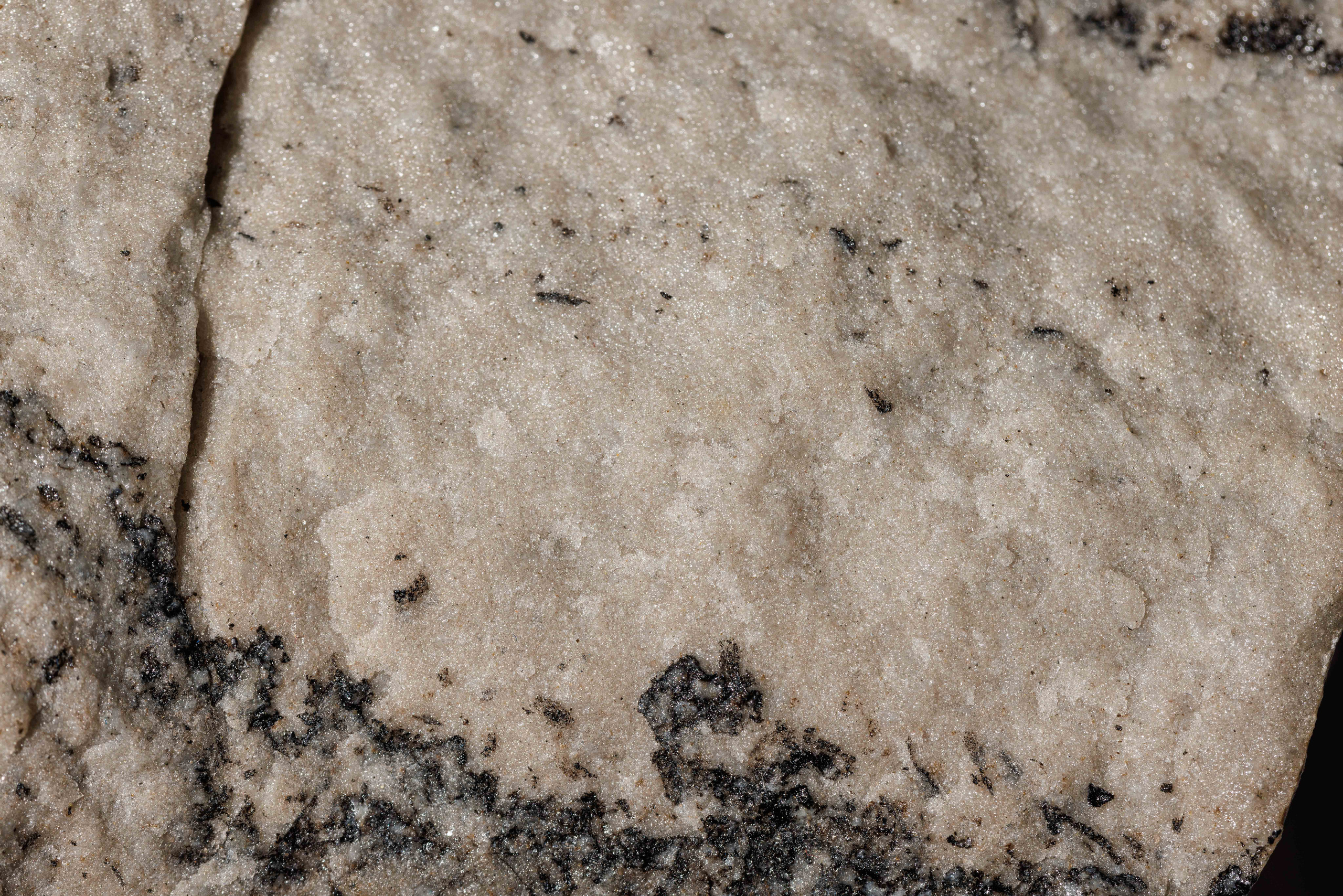 Макро съемка. Фотограф Балаев Михаил