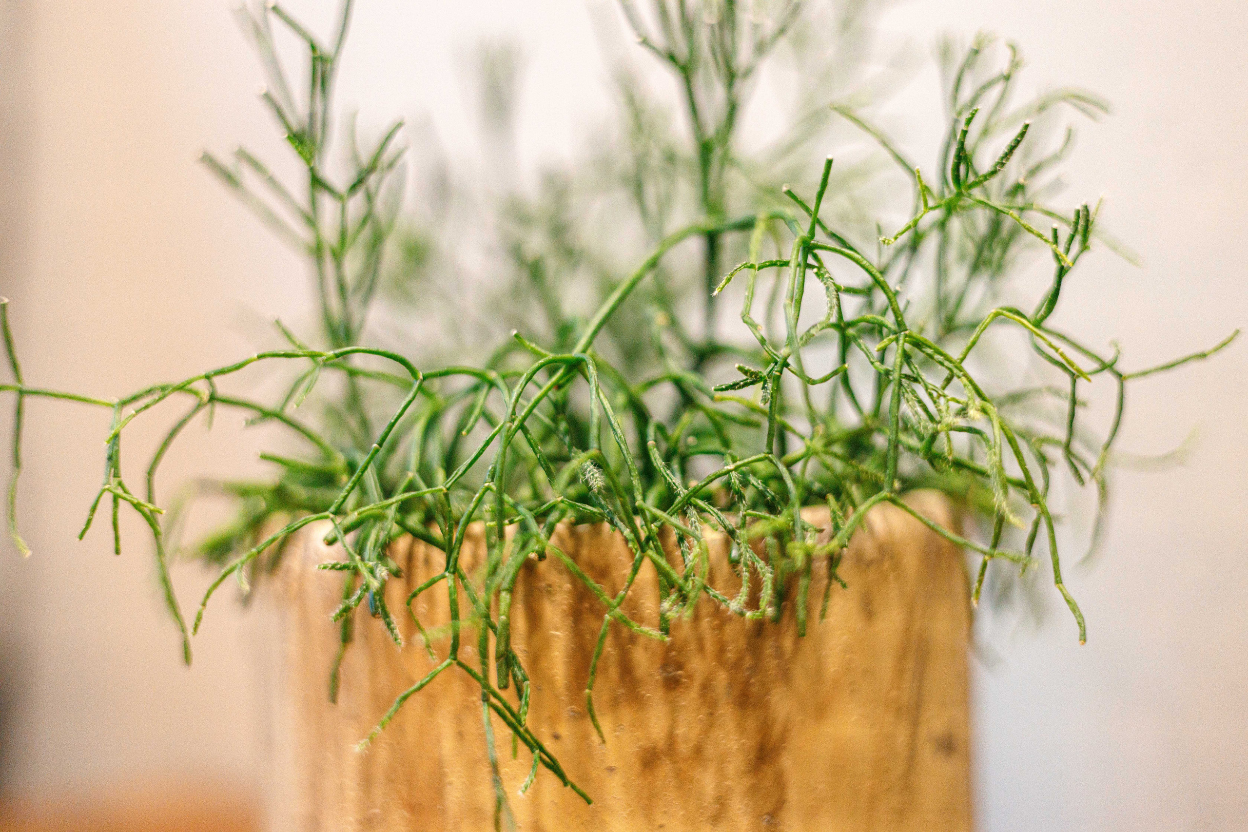 Specialty-кофейня Mad Espresso Team. Фотограф Балаев Михаил