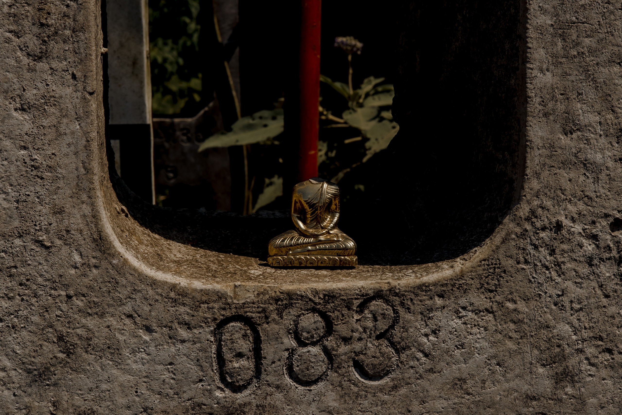 Sri Lanka, Nuwara Elia 2026. Art Photographer