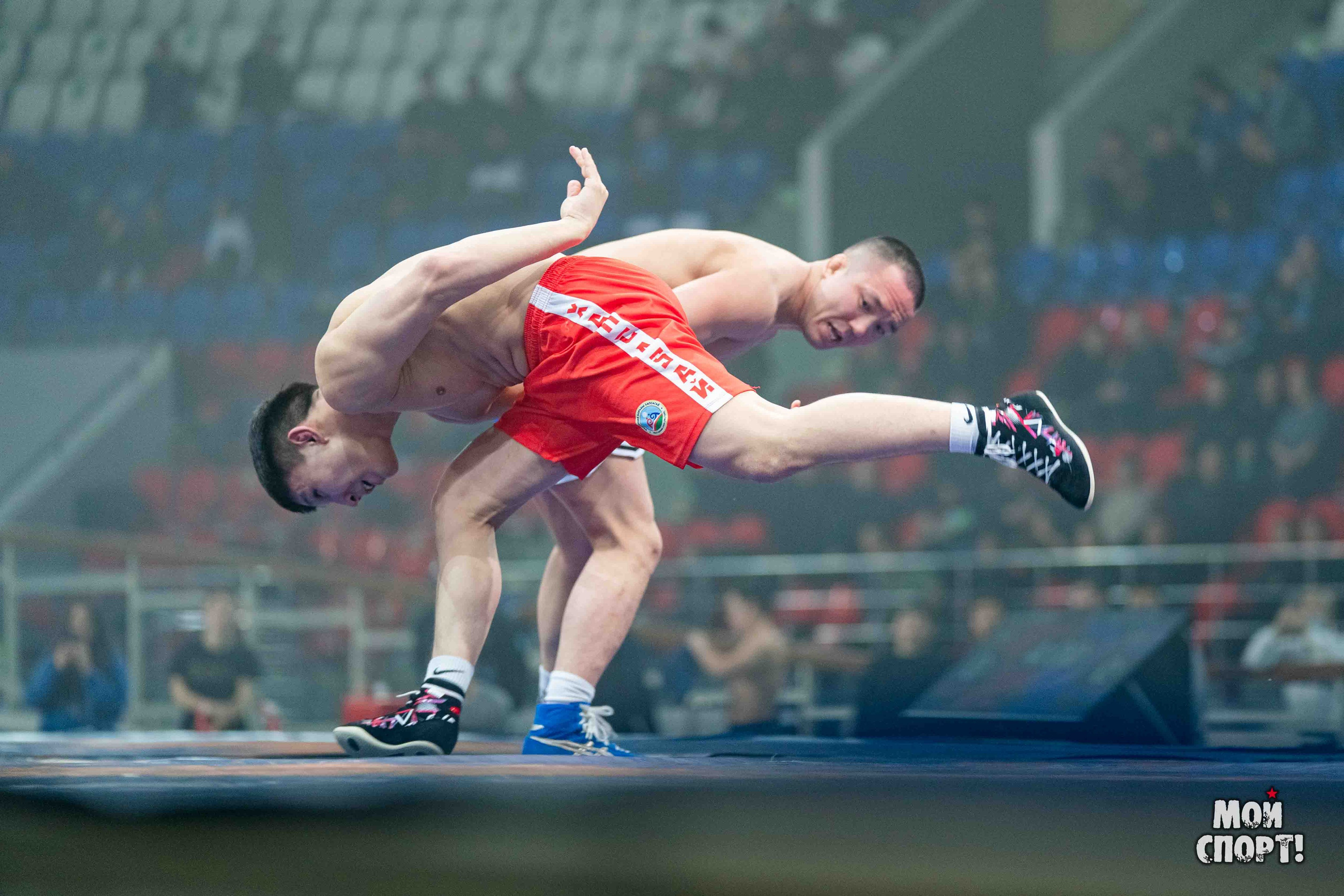 Ханалас Хапсагайа. Студия «Мой Спорт!» — все о спорте в Якутии