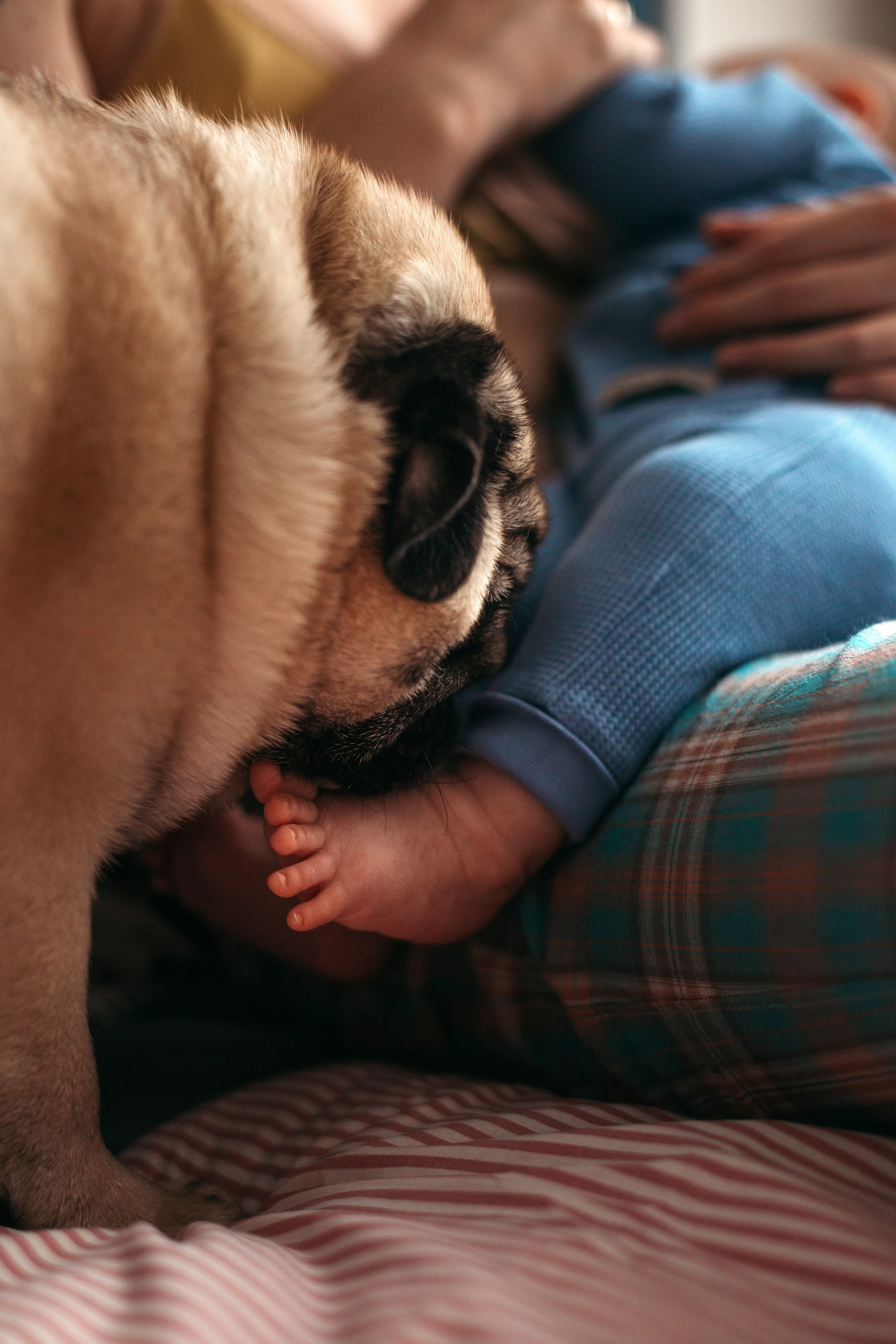 Семья Анастасии. Семейный фотограф Марина Платонова