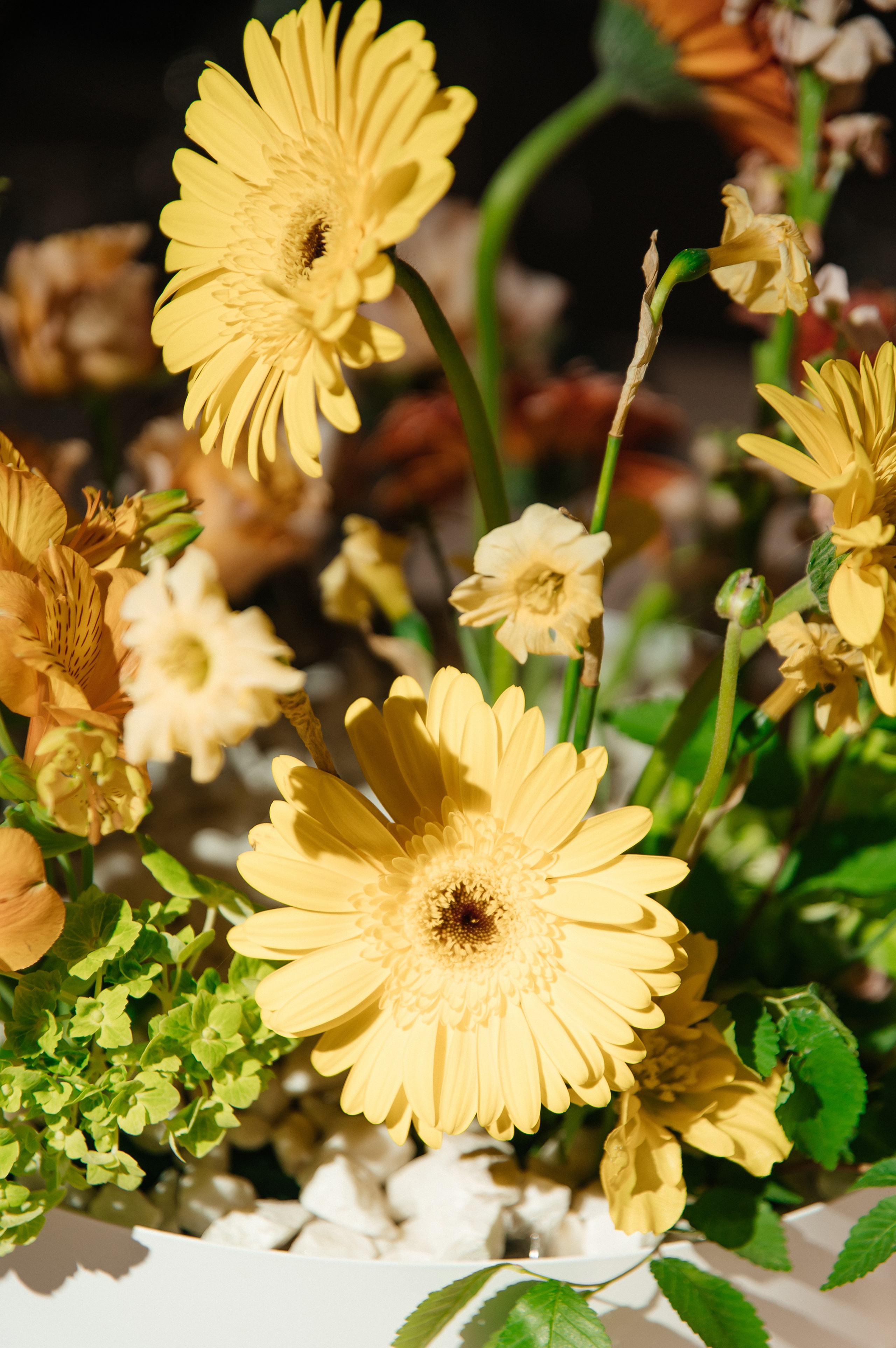 WEDDING. Мария — Свадебный фотограф