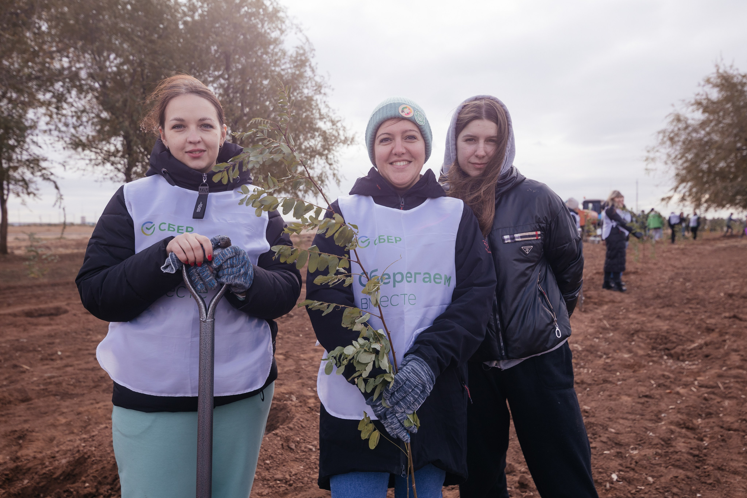 Сохраним лес. Фотограф Крохин Олег