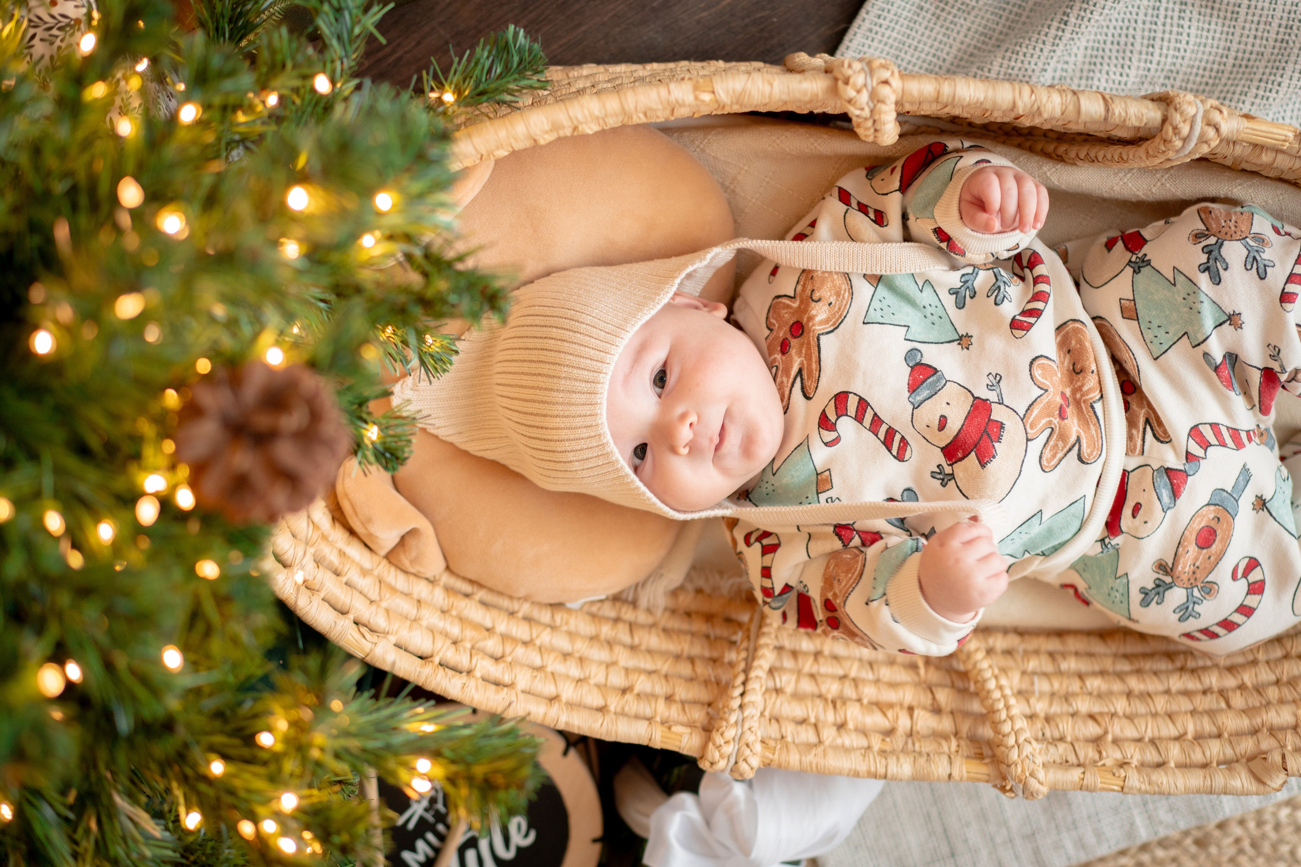 Тимошка, с наступающим Новым Годом!. Детская, семейная фотостудия в Санкт-Петербурге