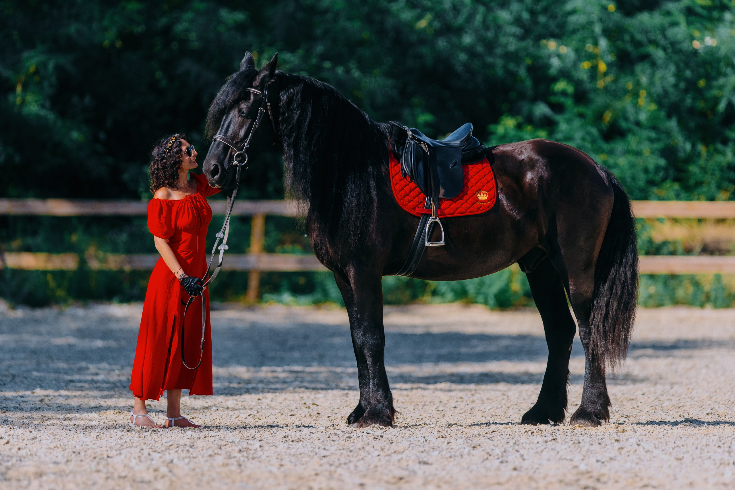 Наира и Тимоти. Фотограф-анималист Ксендзова Кристина