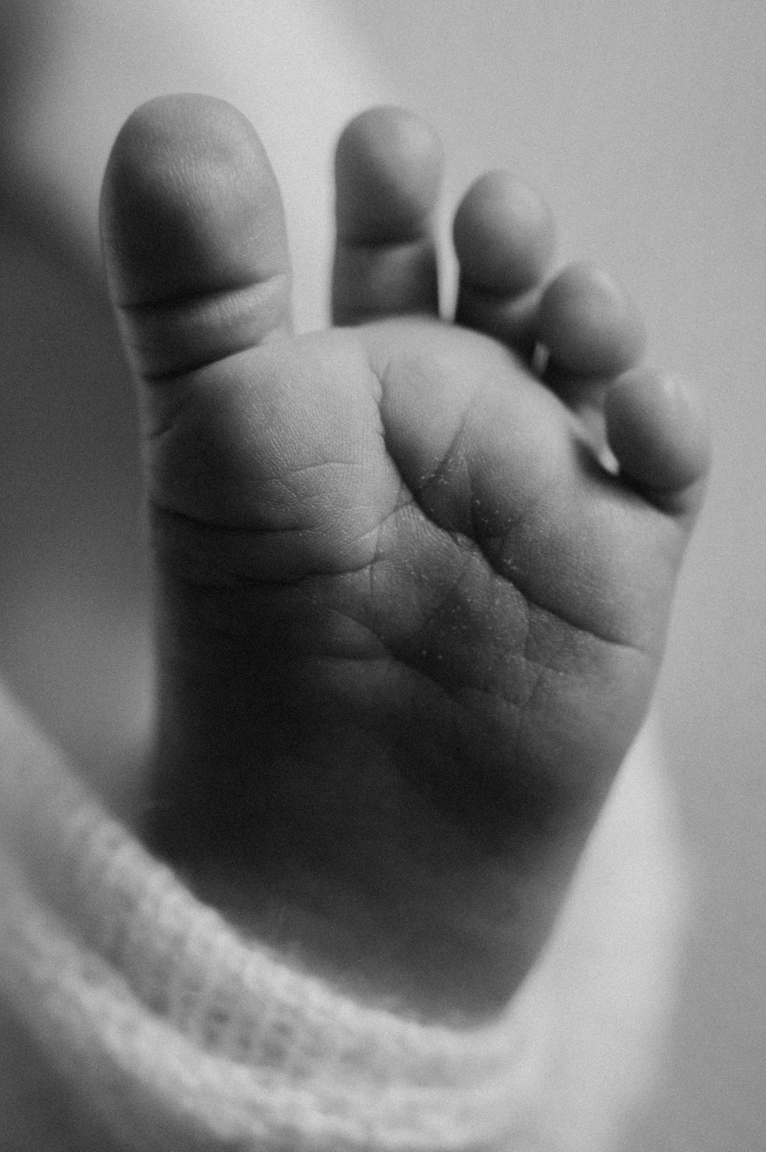 Новорожденные. Фотограф новорожденных и беременых в санкт-петербурге Юля Лампа