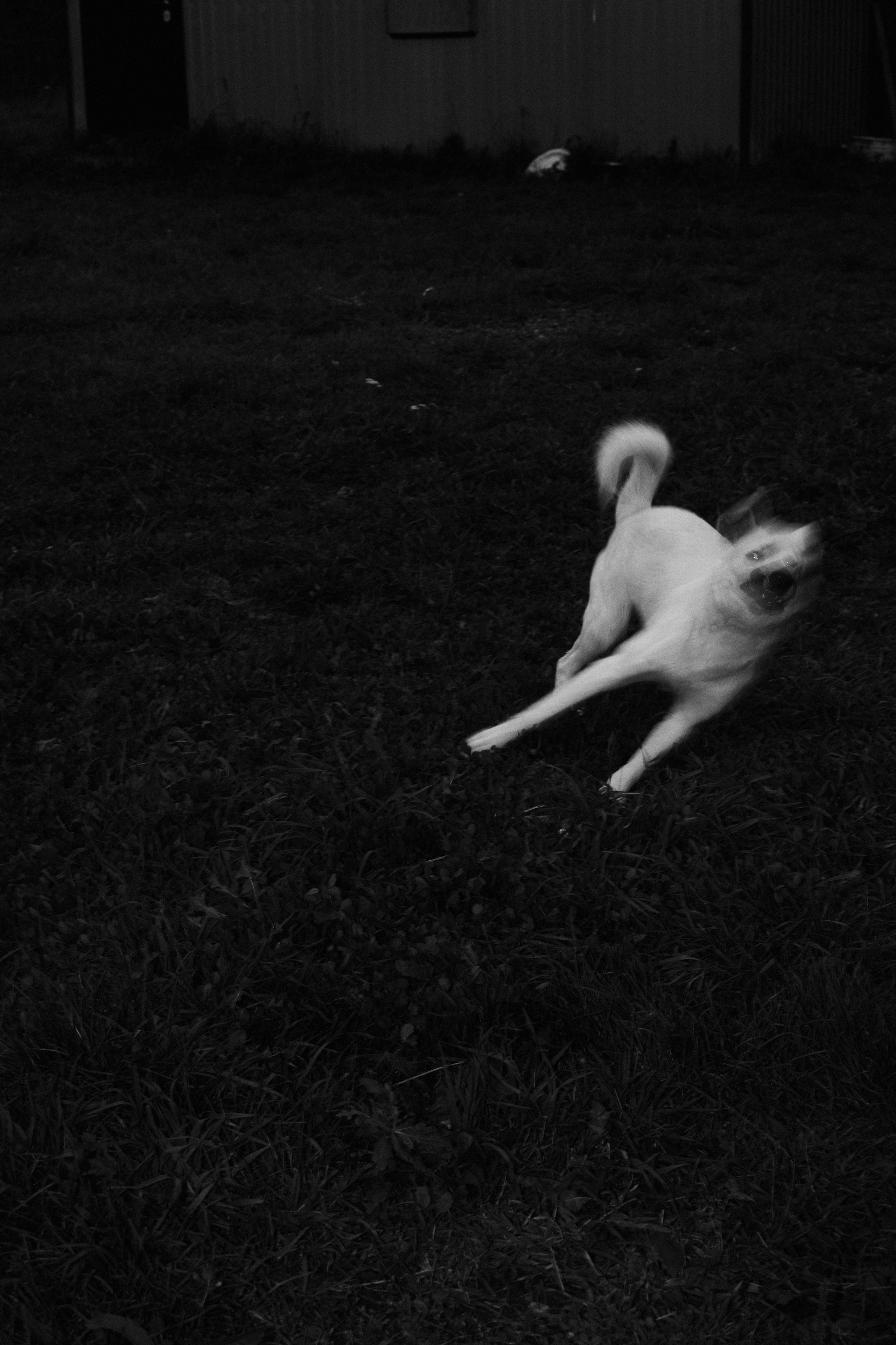 Улица Балтийская. Veronika Popadeikina Photographer