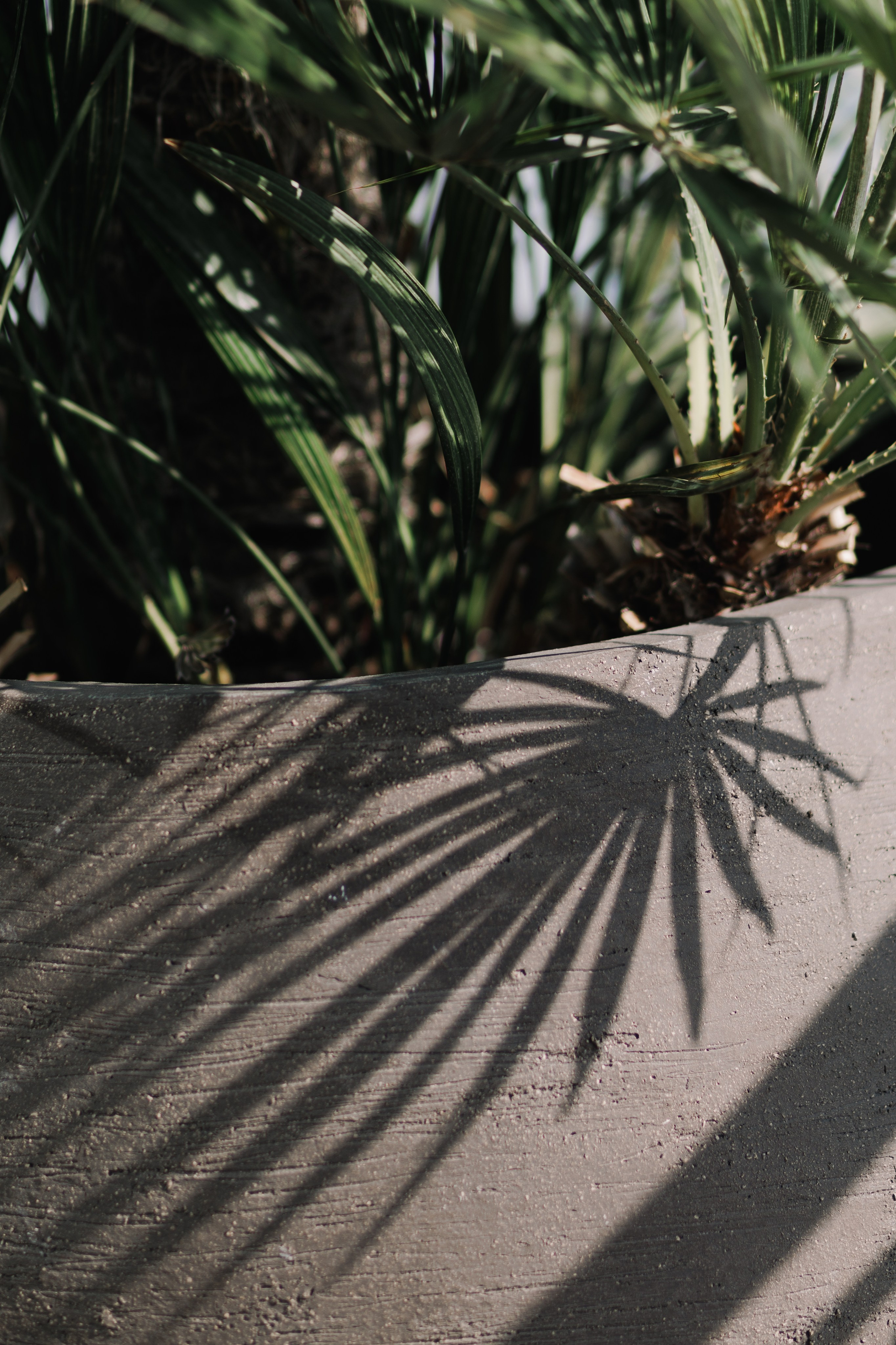 Kamilya & Anas. Свадебный и семейный фотограф в Москве