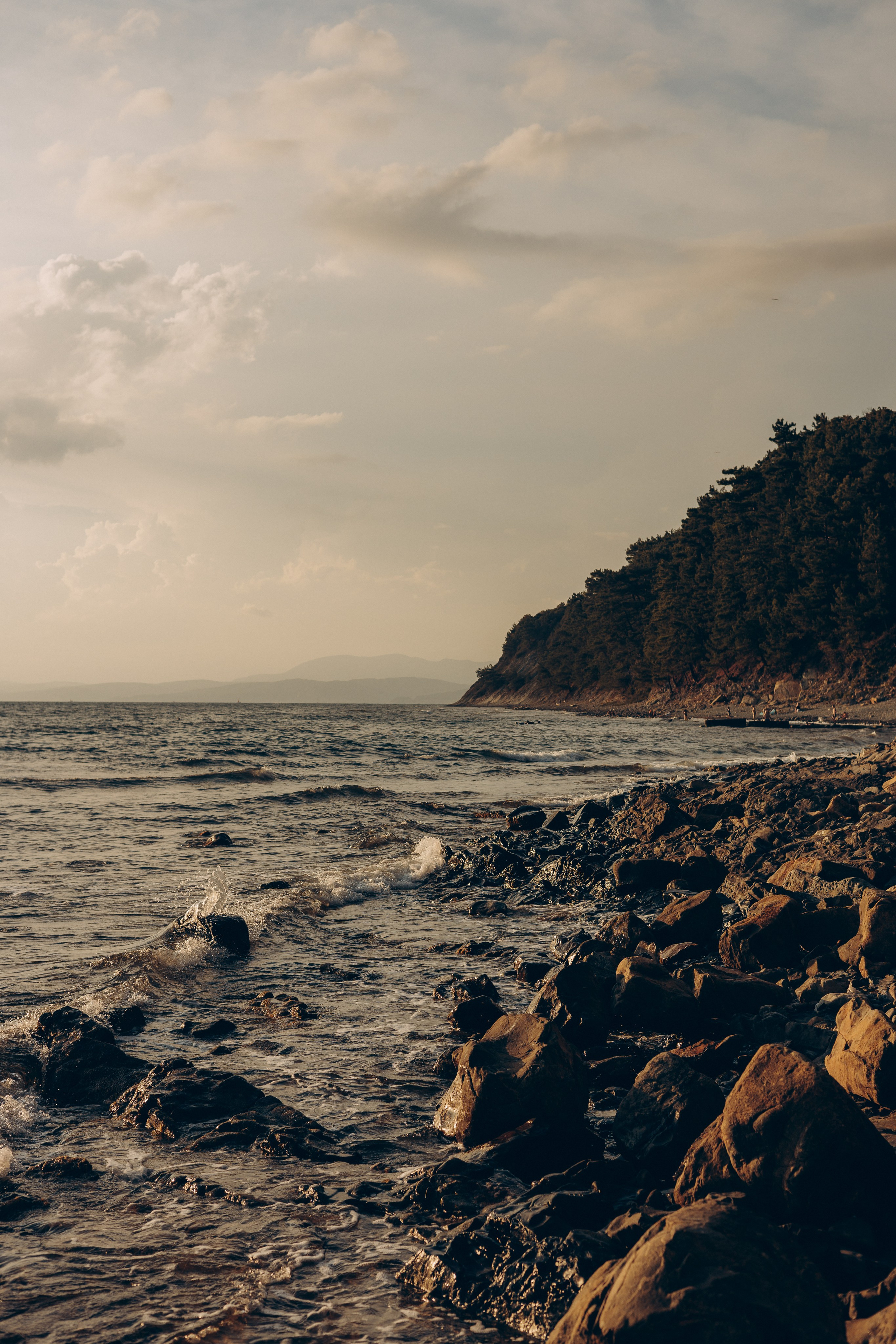 Владимир и Полина