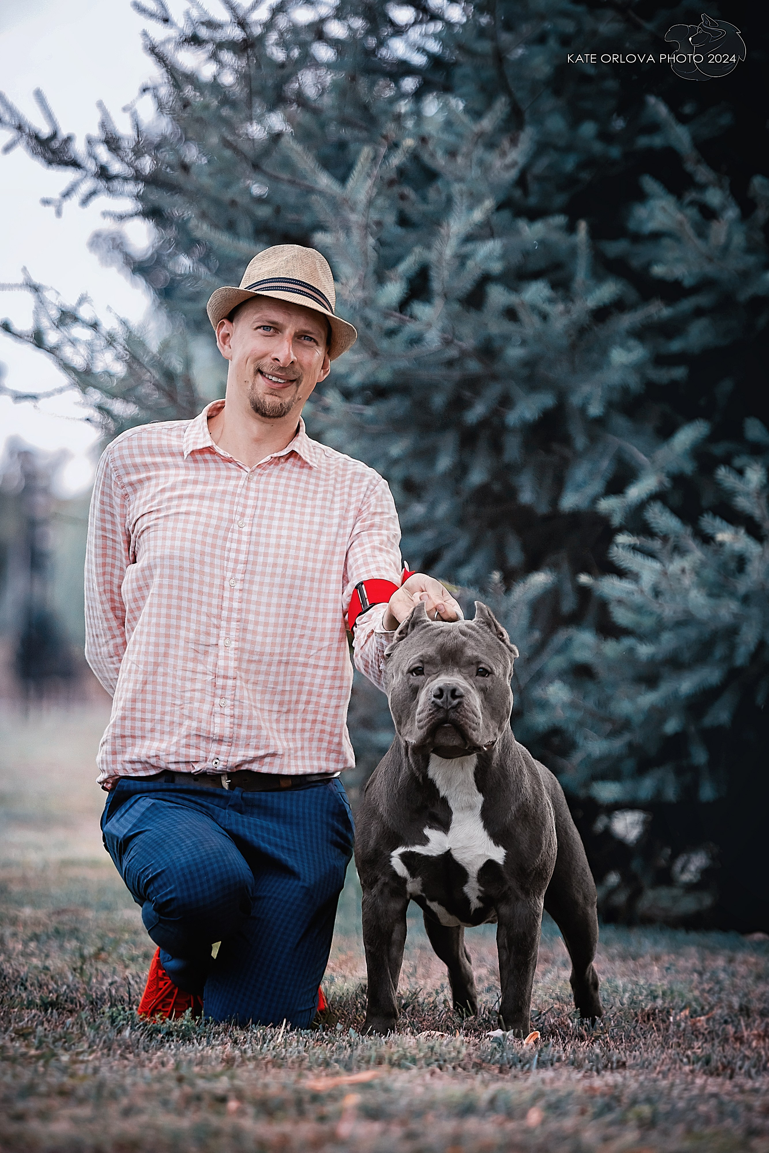 Фотосъемка собак, щенков, на выставках, фотограф анималист Россия воронеж. Питомник собак Акита, Хаски, Корги