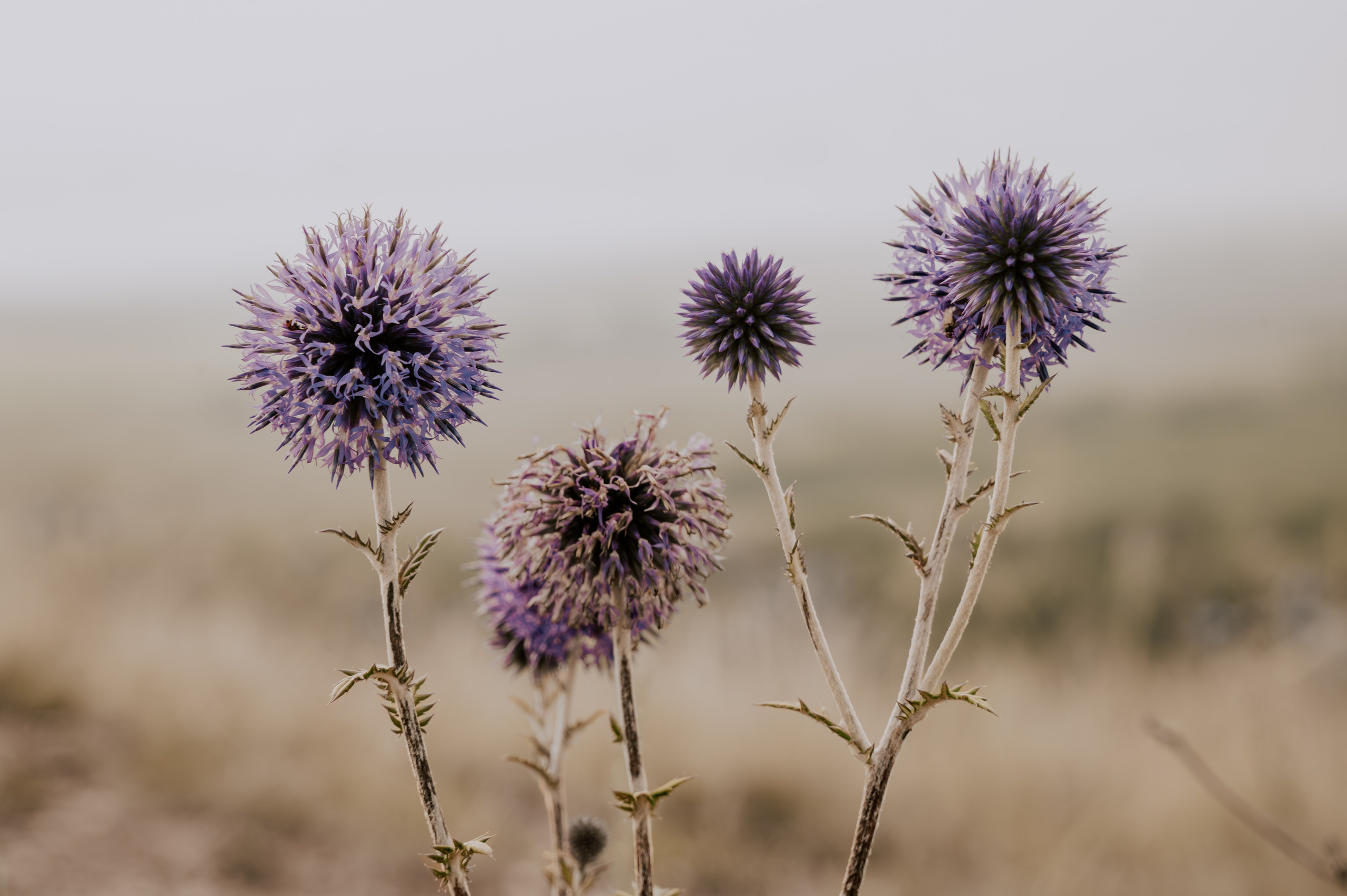 Фотограф/видеограф Богдан Голованов