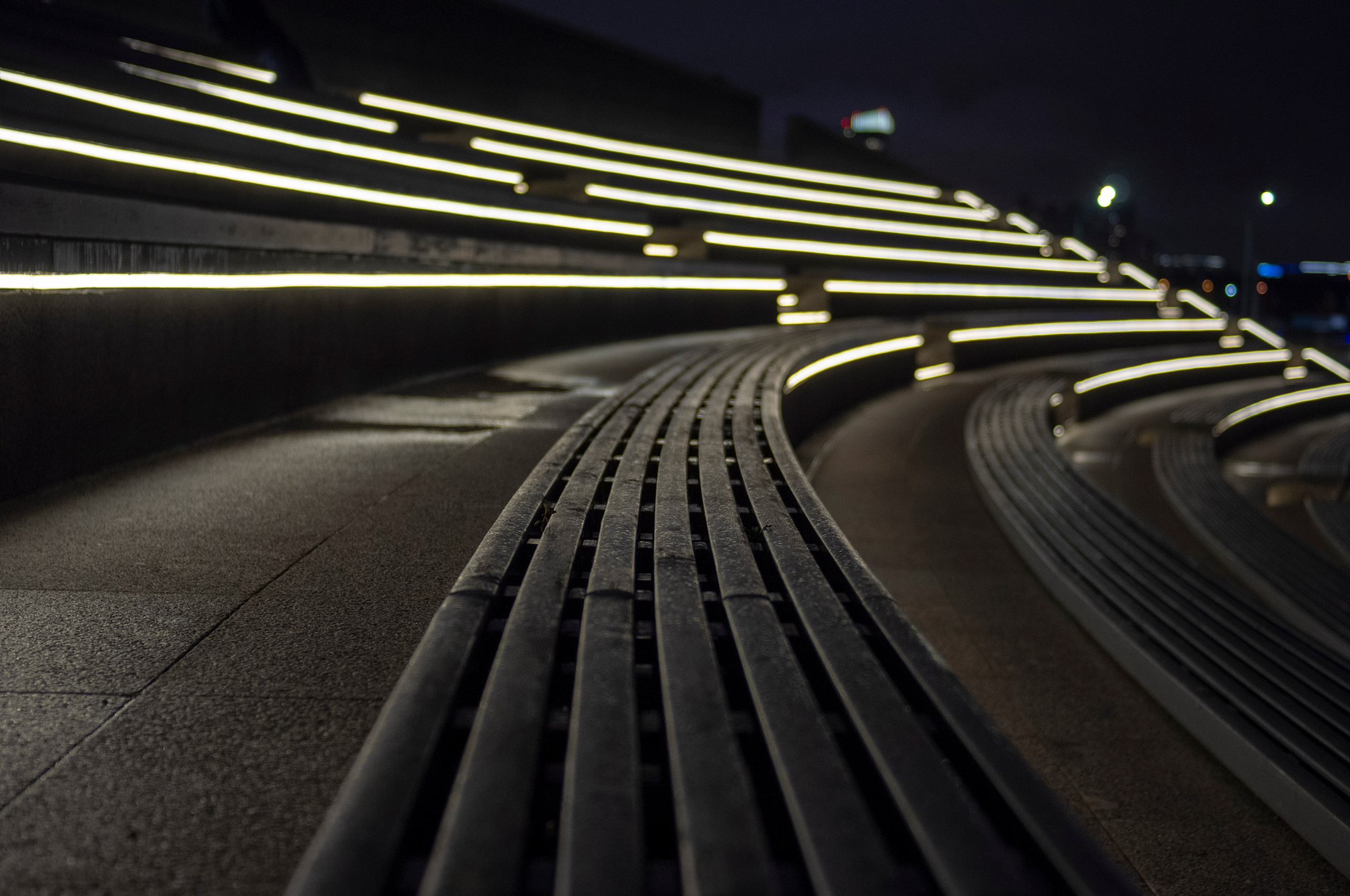 Фотограф Даниил Богомолов