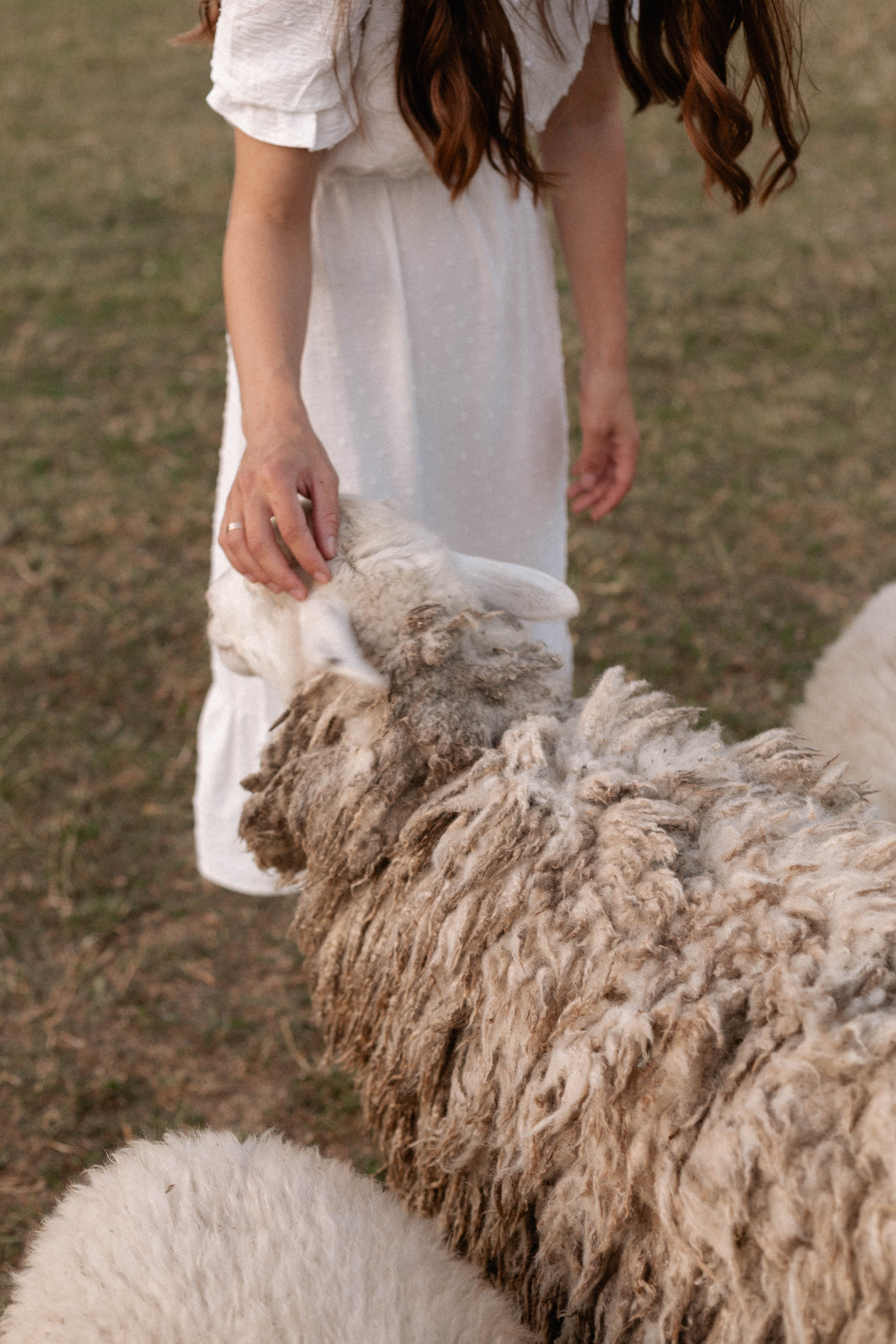 Годик Нине. Свадебный и портретный фотограф Соломко Диана