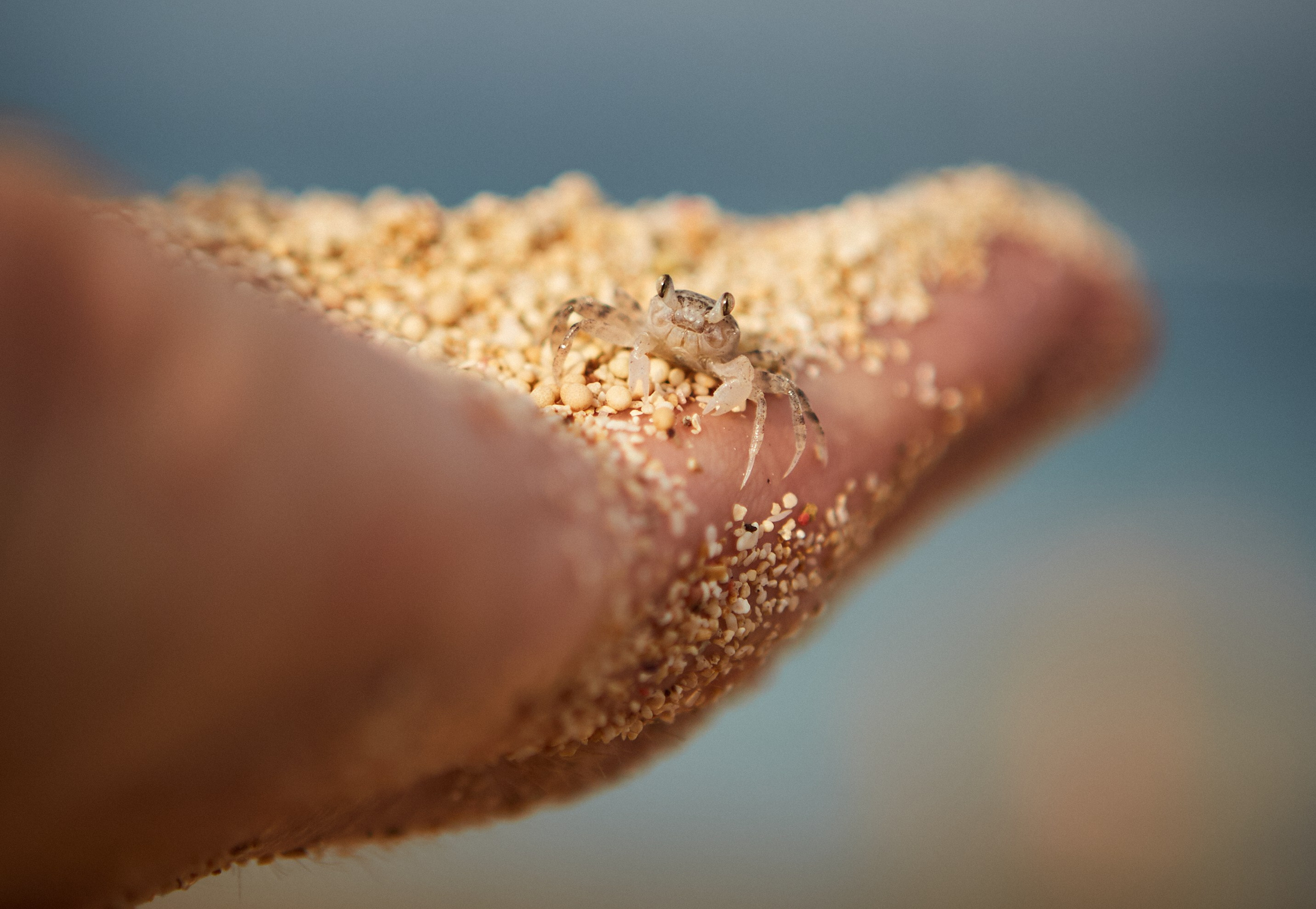 Путешествия и лайфстайл. Горный фотограф на Кавказе Никита Першин