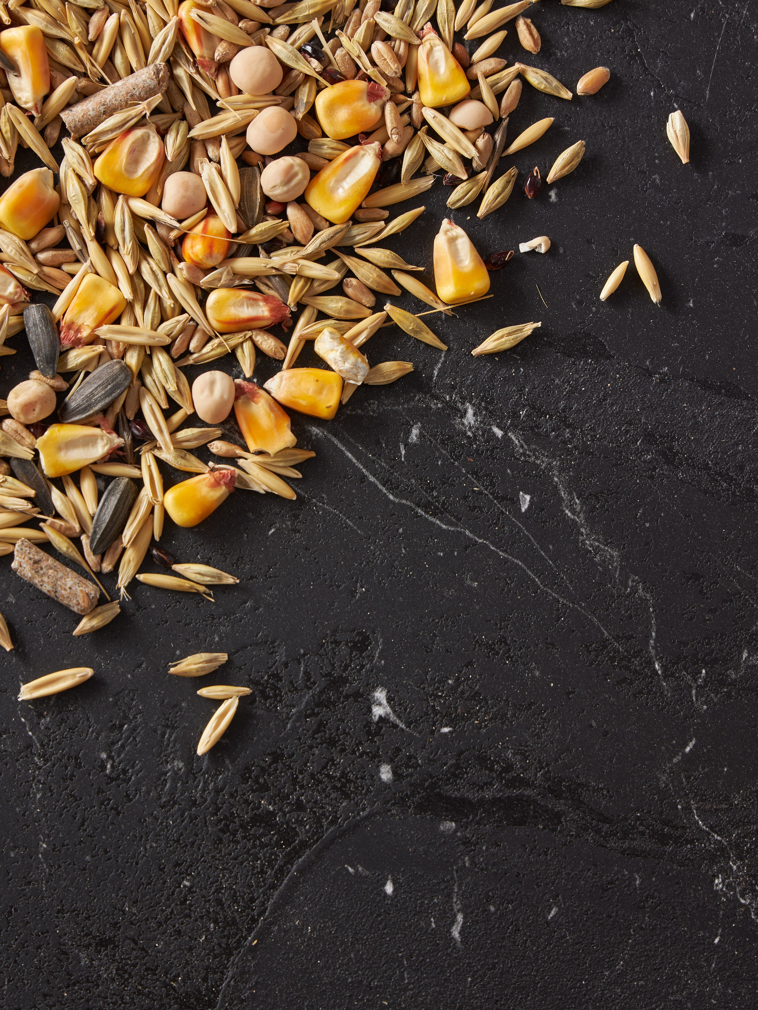 Фотосъемка корма для животных для маркетплейсов. Алексей Темнов — фотограф в Пятигорске