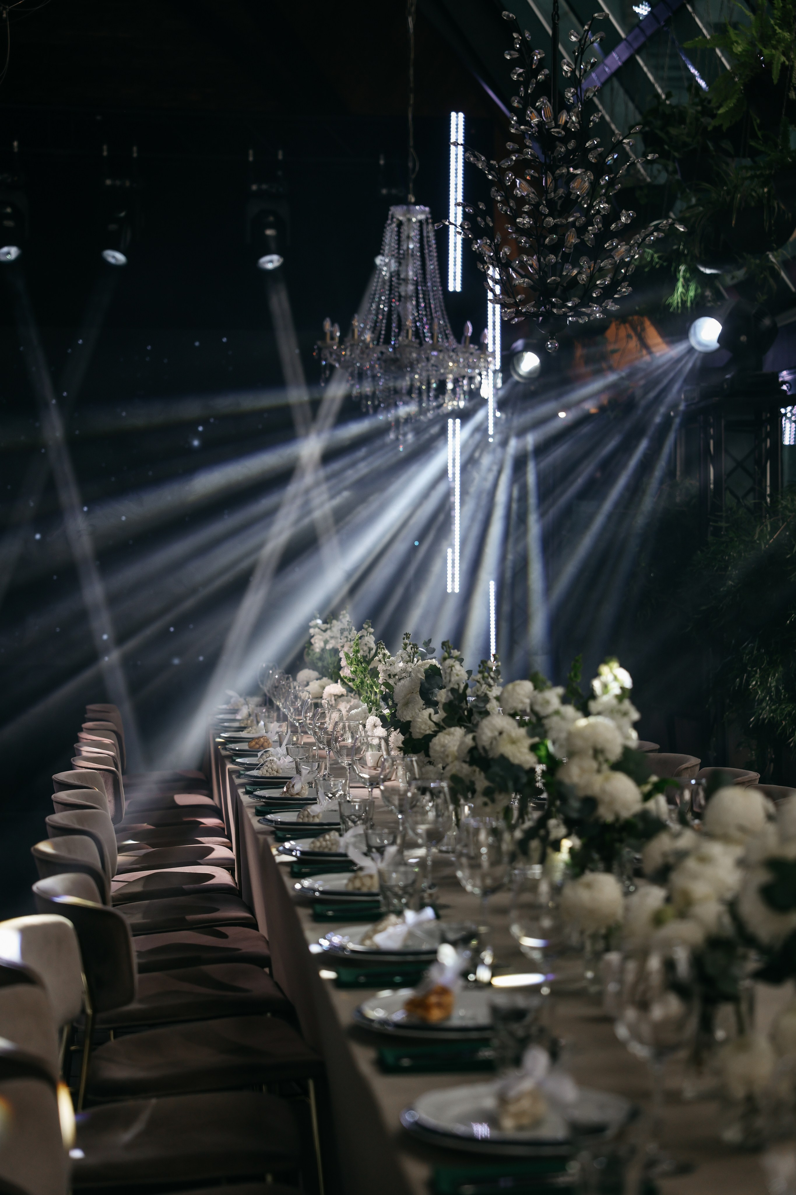 Александр и Алиса. Свадебный и семейный фотограф в Ростове-на-Дону Марианна Хахладжева