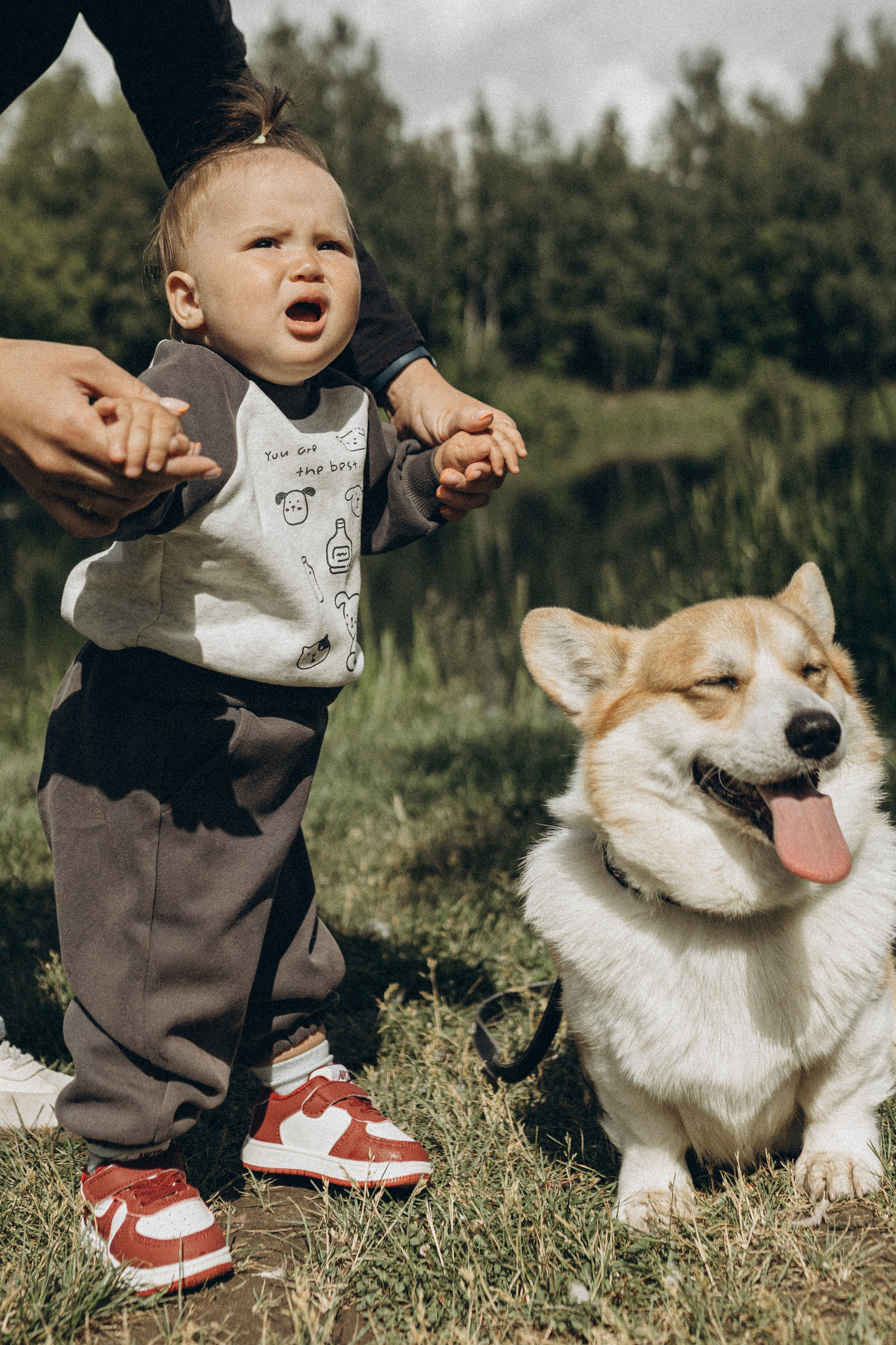 Прогулка с корги. Семейный и детский фотограф в Рязани Васюгова Мария