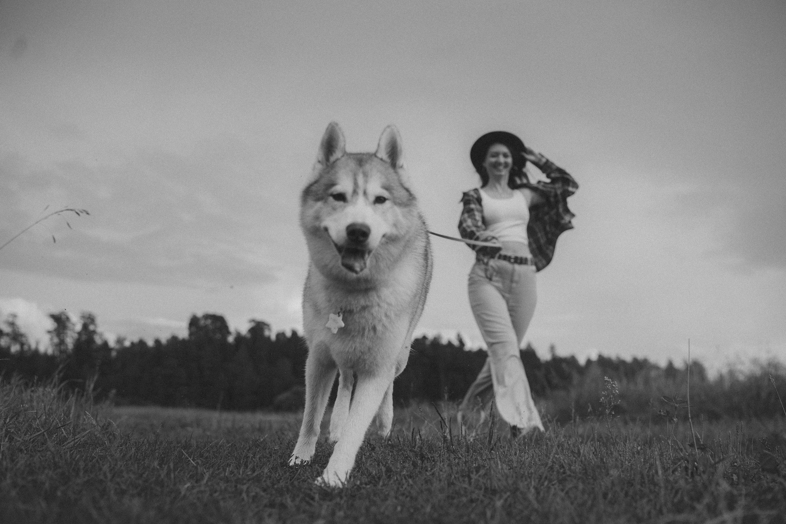 Мария и Джесси. Фотограф анималист в Москве и Санкт-Петербурге Свиридова Анна