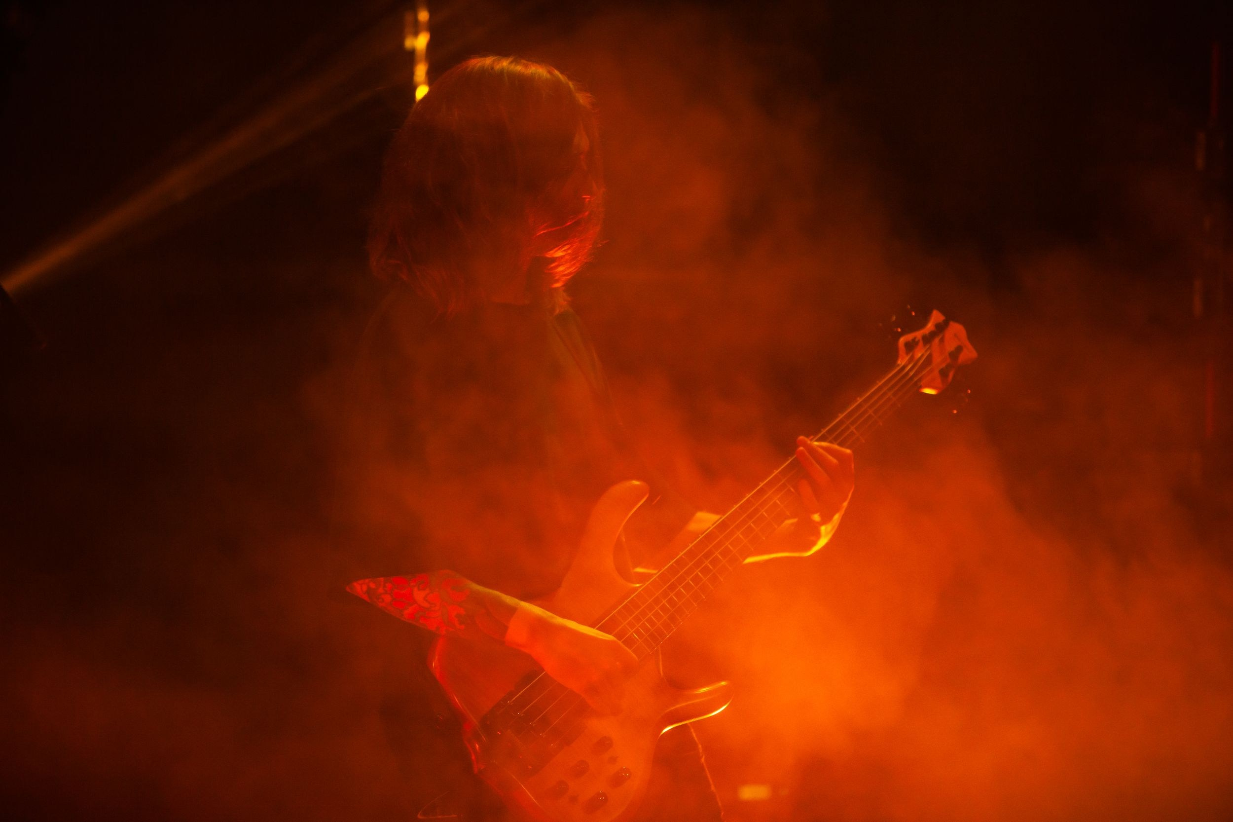 Animal ДжаZ. Репортажный фотограф Алексей Пирязев