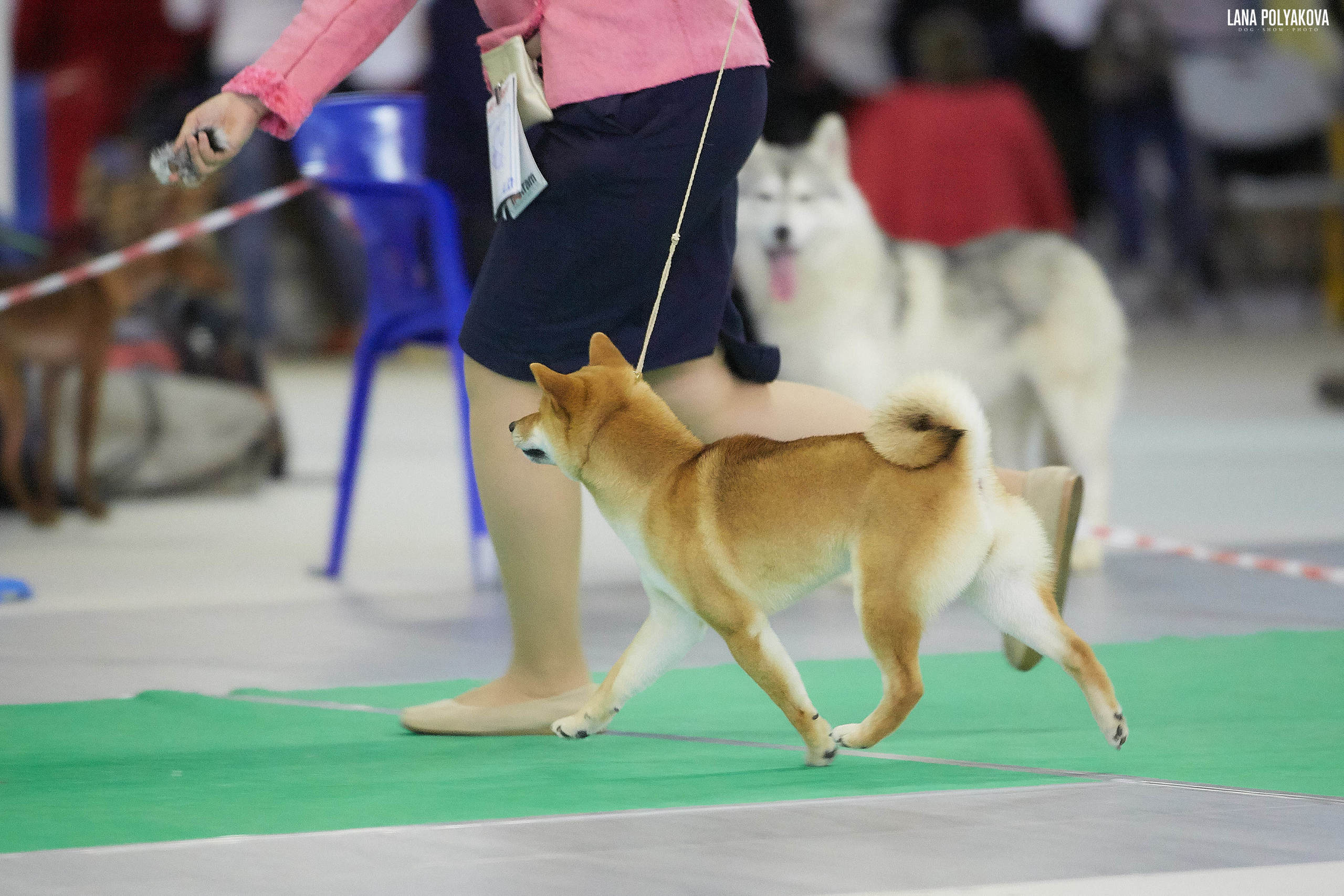 Дэва * ZOLOTO PARTII DEVANA GODDESS OF HUNT